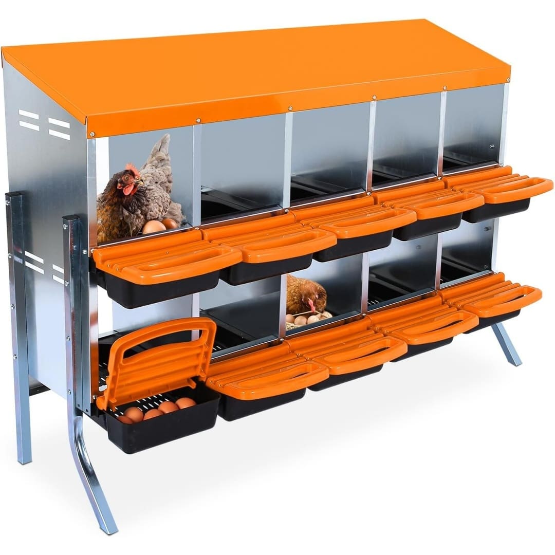 Qeetex GGL-PPG-33CX8L75 Chicken-Coops-Rabbit-Hutches - View #3