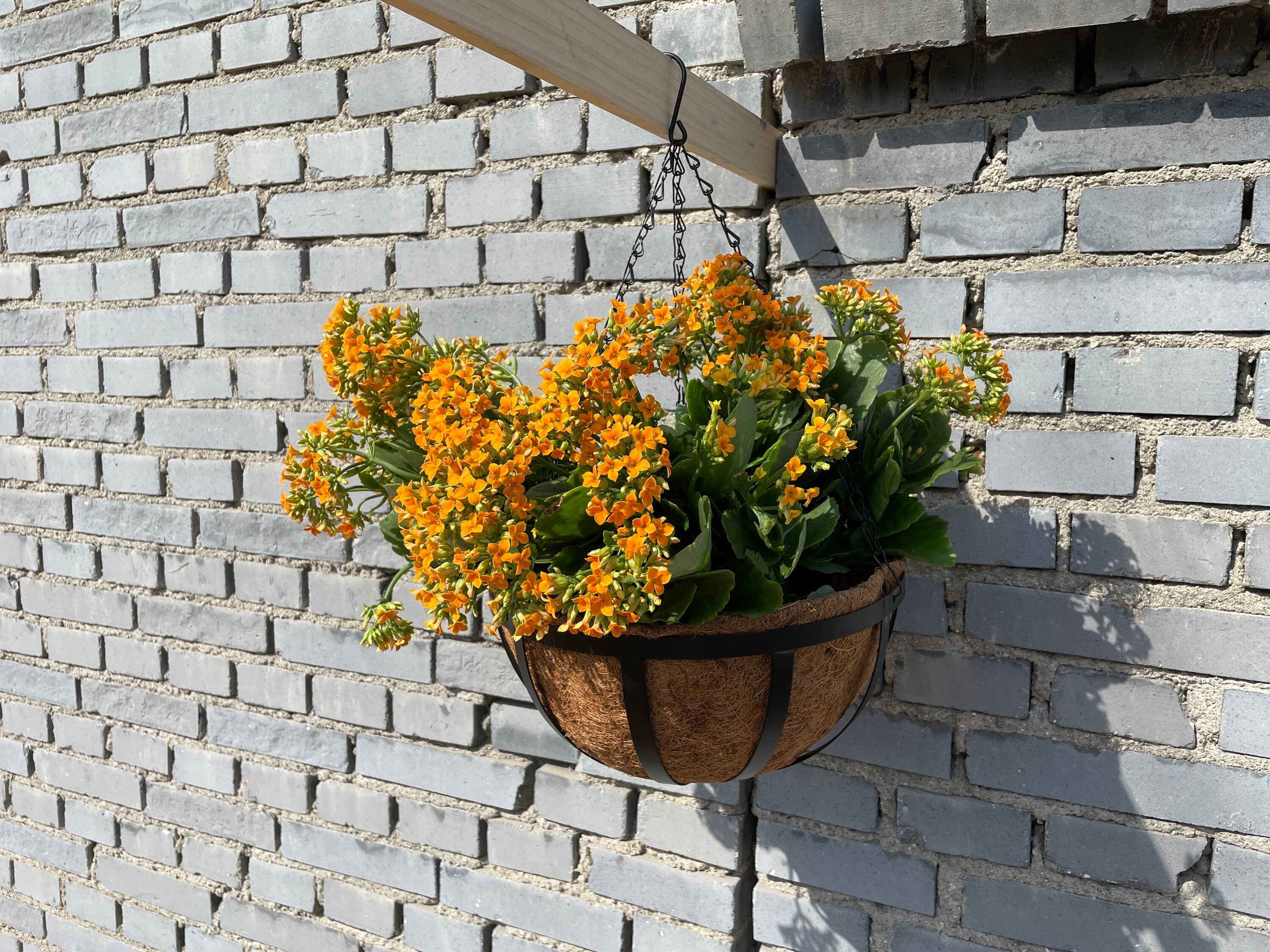Style Selections LWO21-125 Planter-Window-Box - View #2