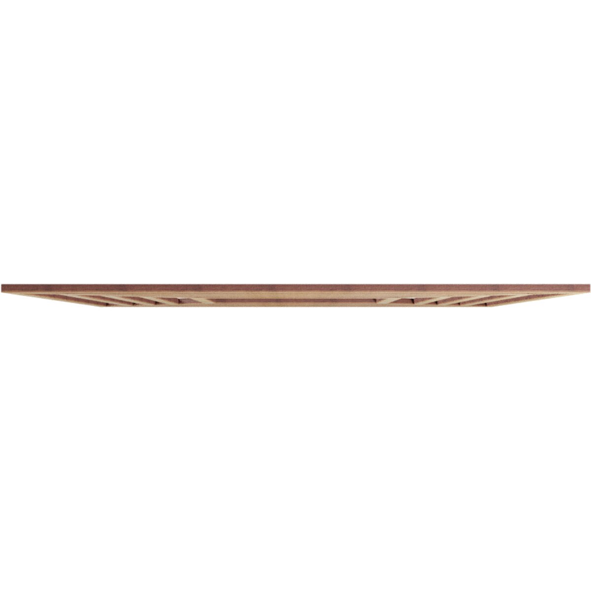 Ekena Millwork CMWP18X18X0250RABI Ceiling-Medallions - View #3