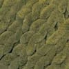 Chenille Knit (Olive)