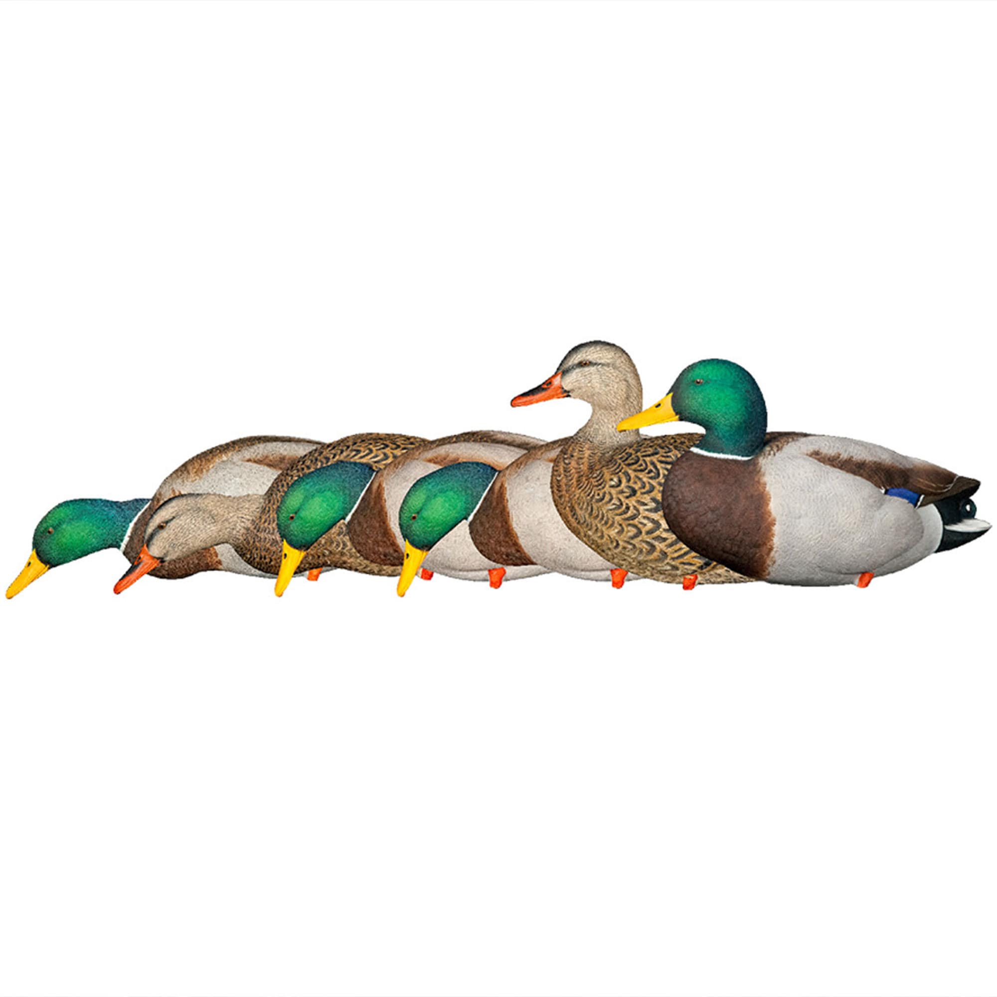 Avian X 3 X AVX-AVX8061 Hunting-Equipment - View #7