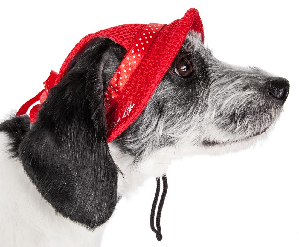 Buffalo Bills Dog Bandana / Buffalo Bills /dogcat Bandana / 