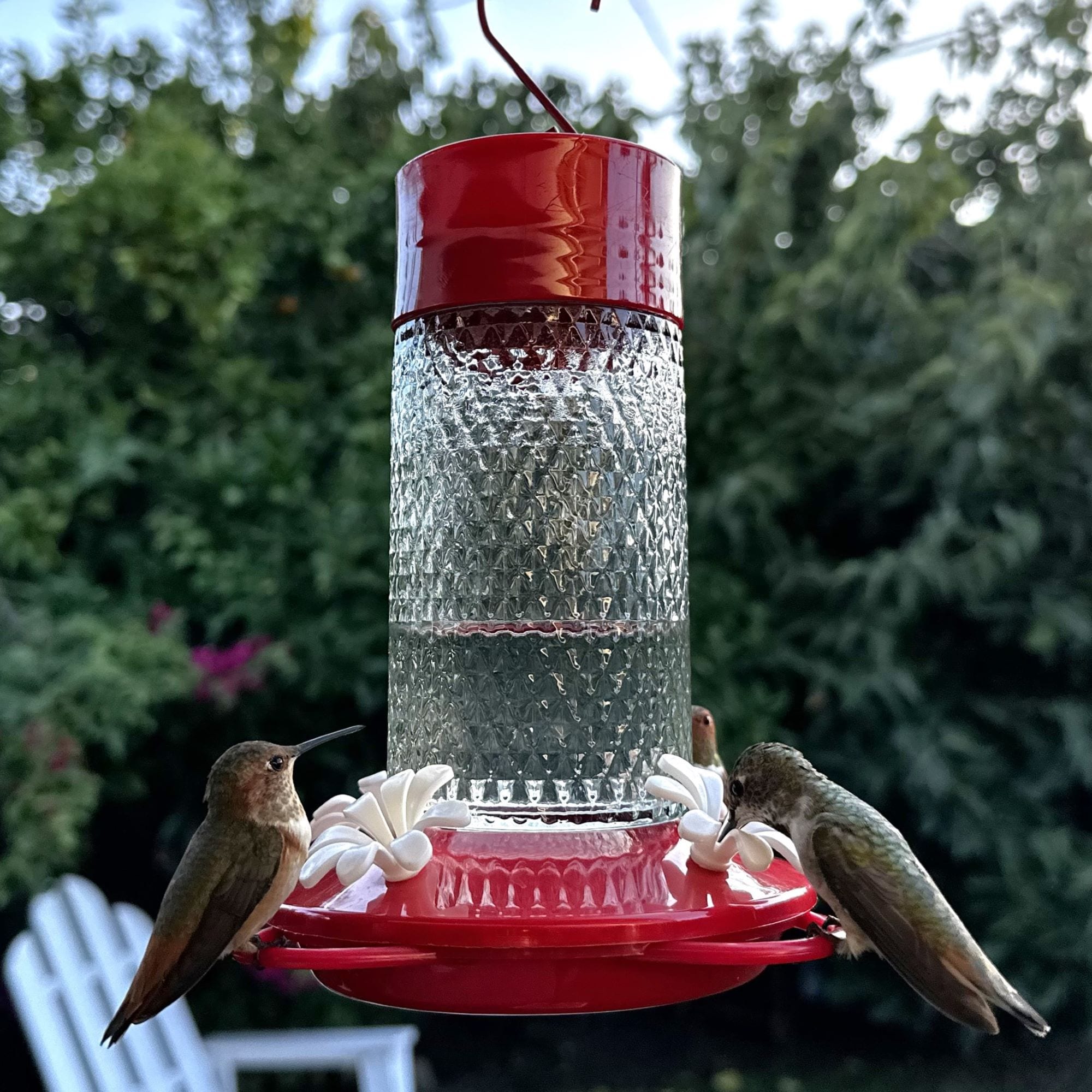 Style Selections TGF3-SS1 Bird-Feeders - View #2
