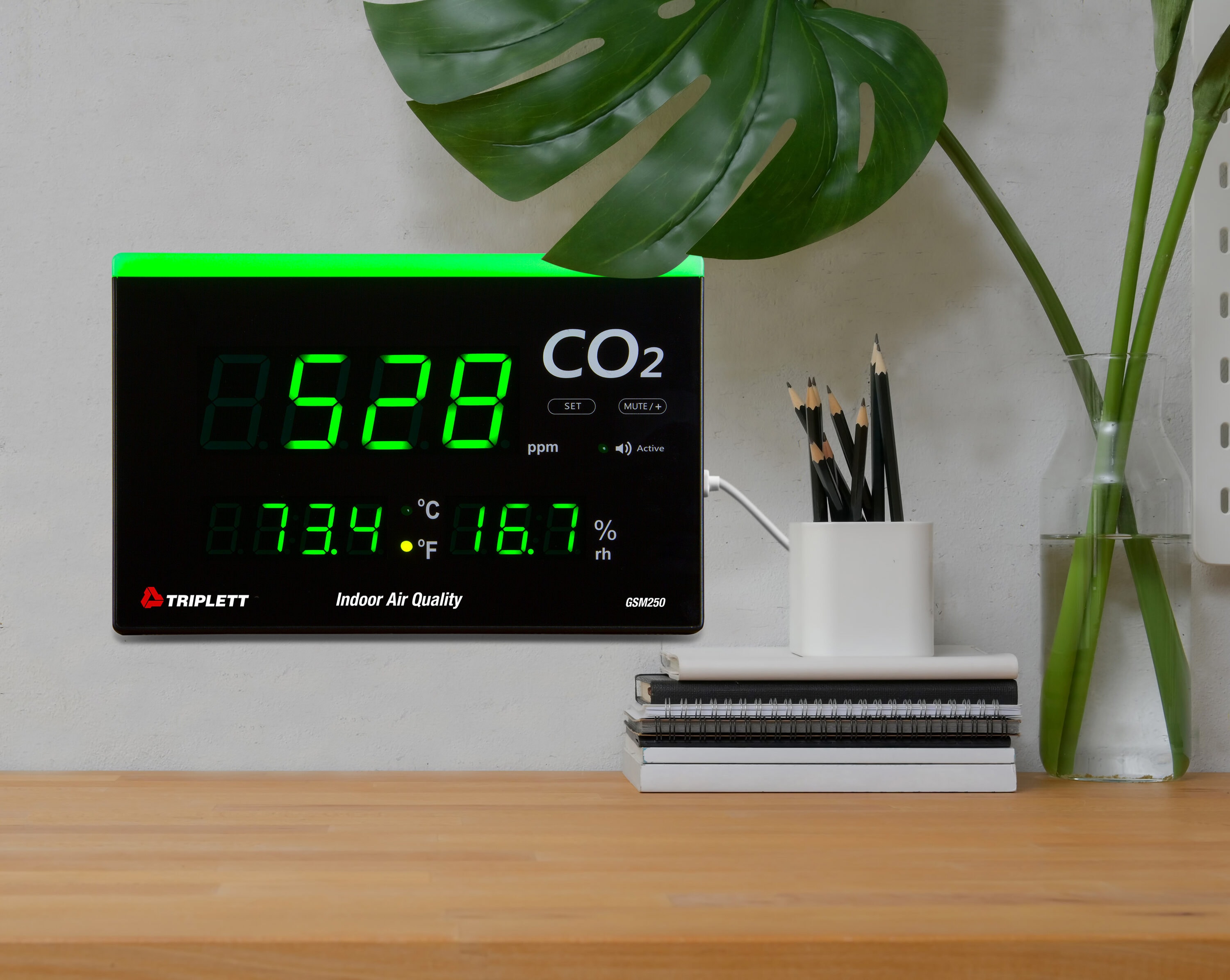 TRIPLETT GSM250 Air-Quality-Monitors - View #4