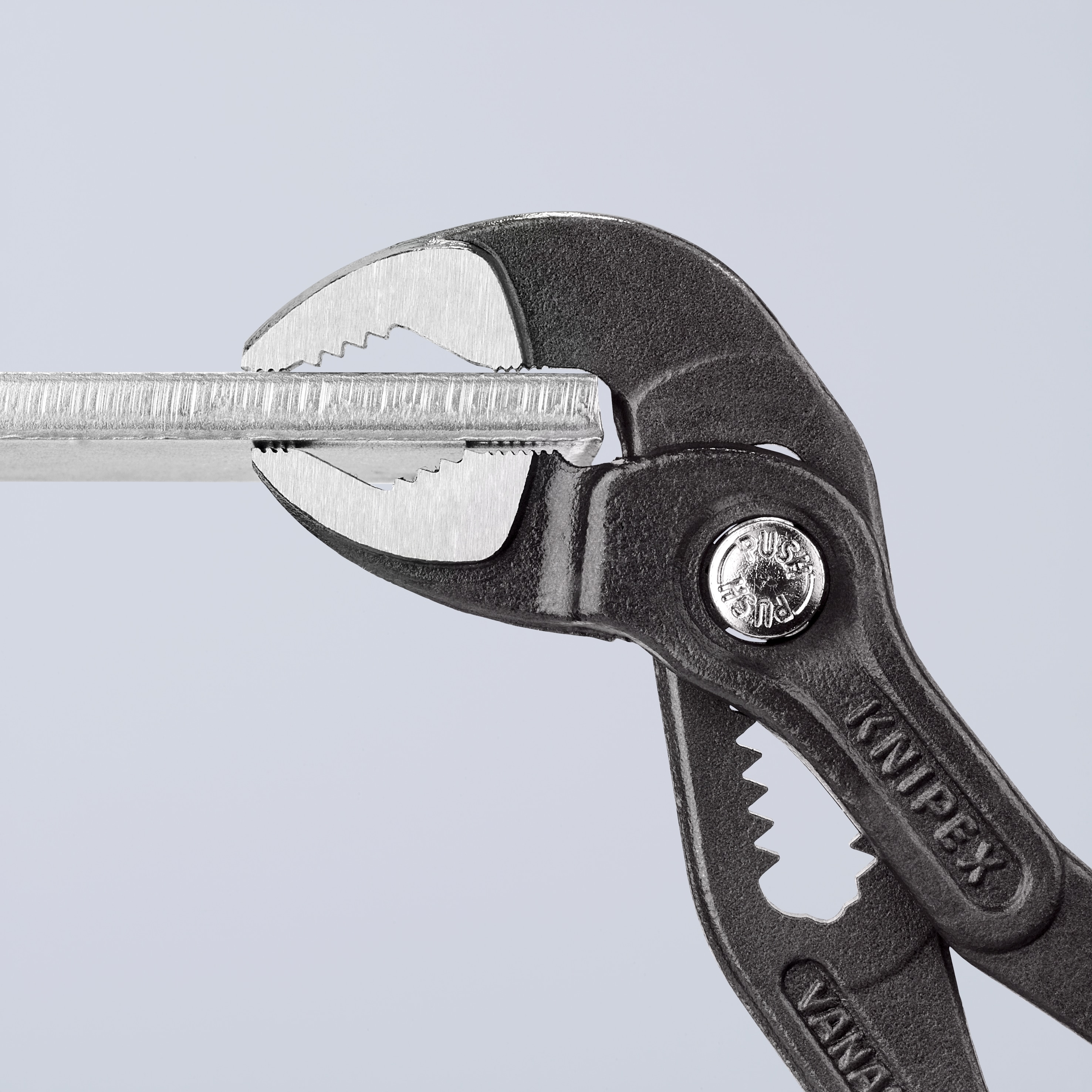 Tools that bite! Meet the KNIPEX Cobra® range