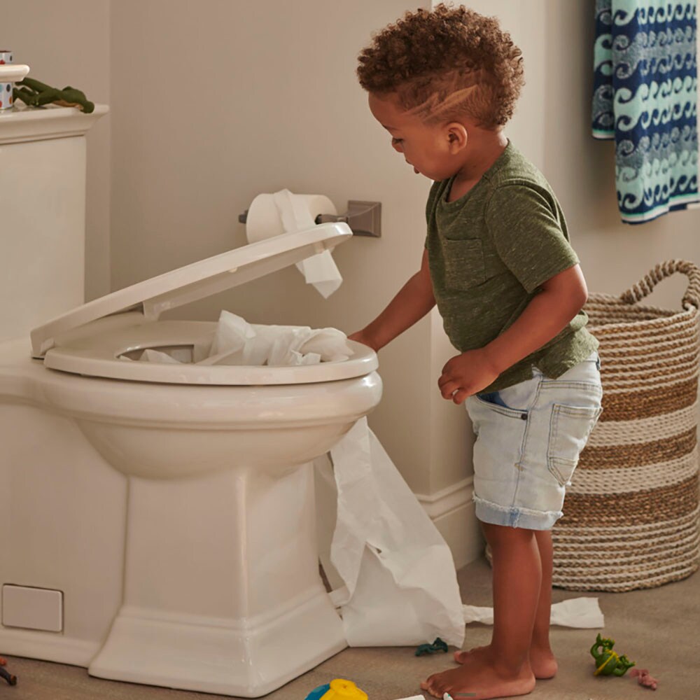 White High Efficiency Elongated One-Piece Toilet with Seat