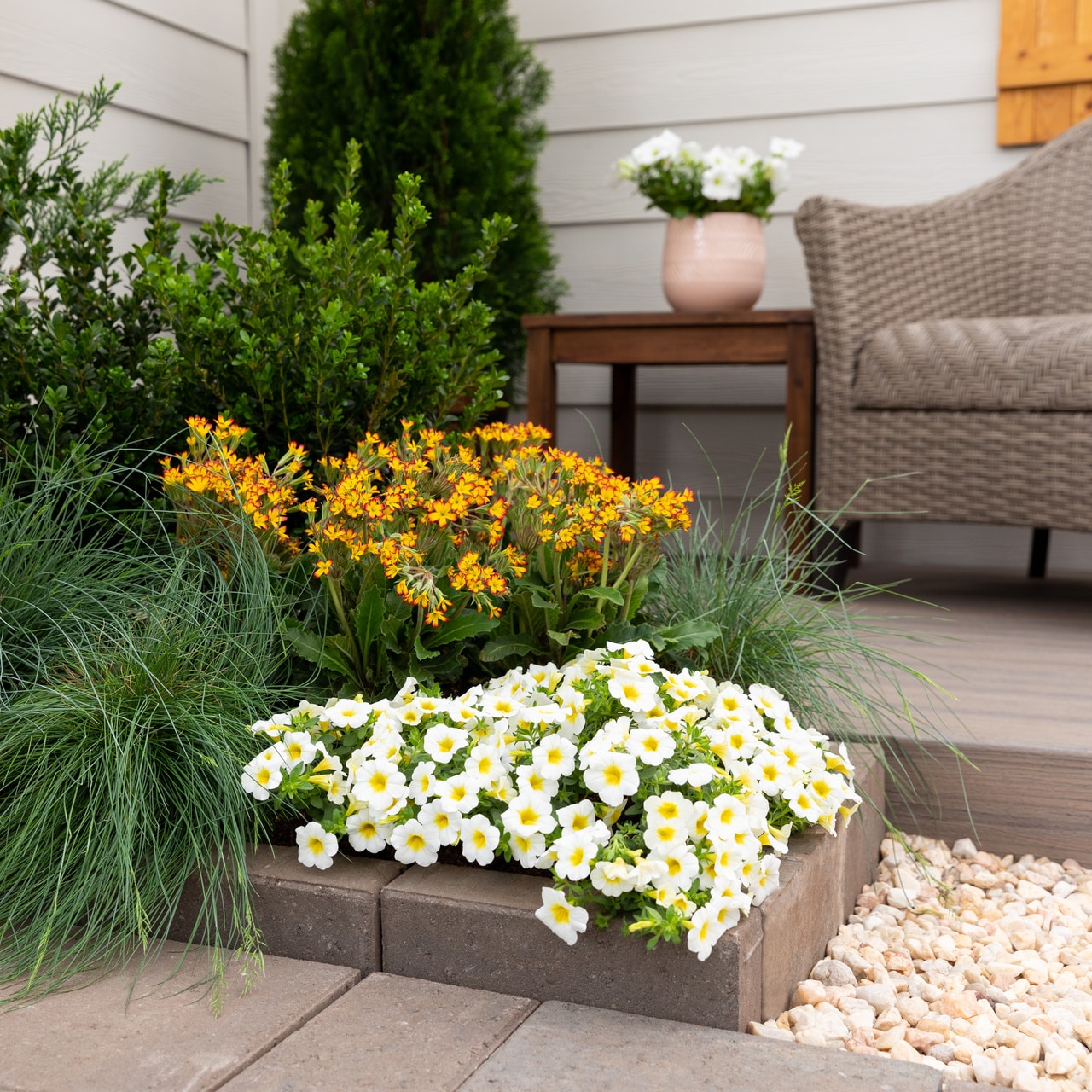 Monrovia 4814 annuals - View #4