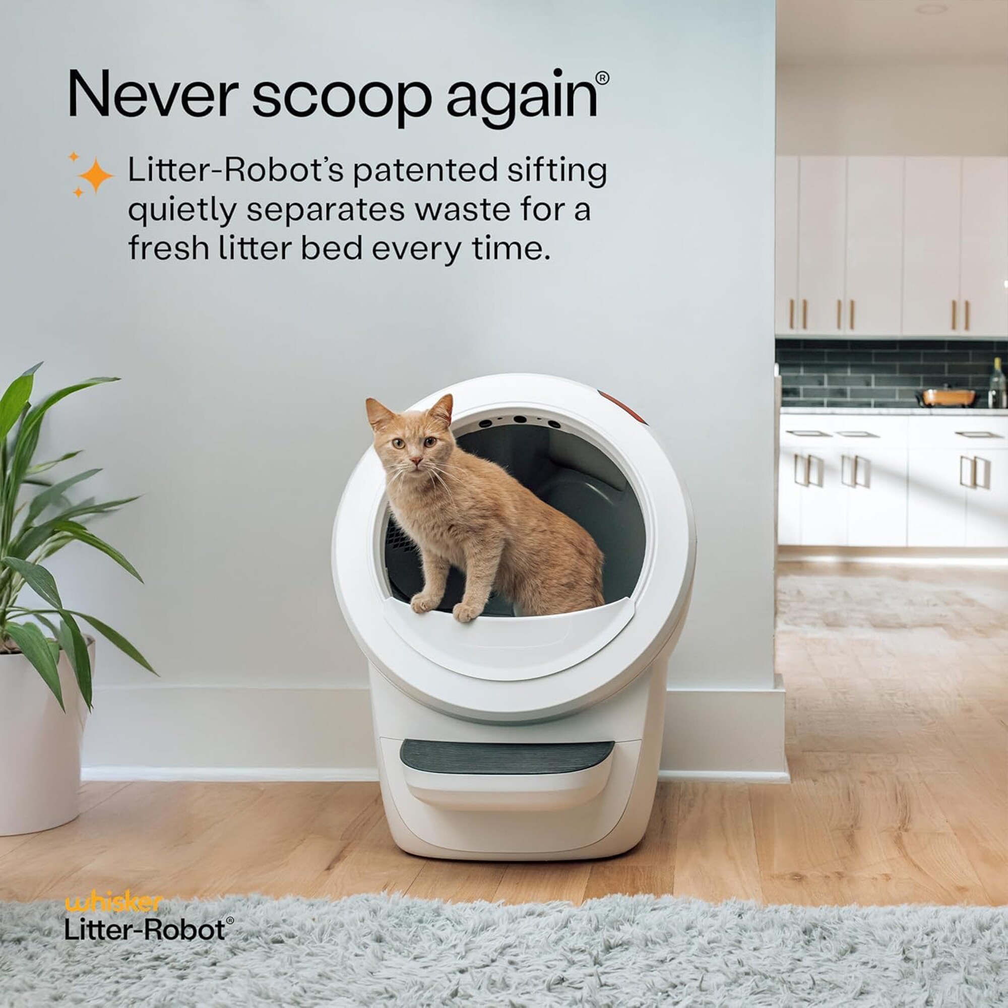 Whisker LR4-SPLY-ACC-NORMPWT Cat-Litter-Box - View #3