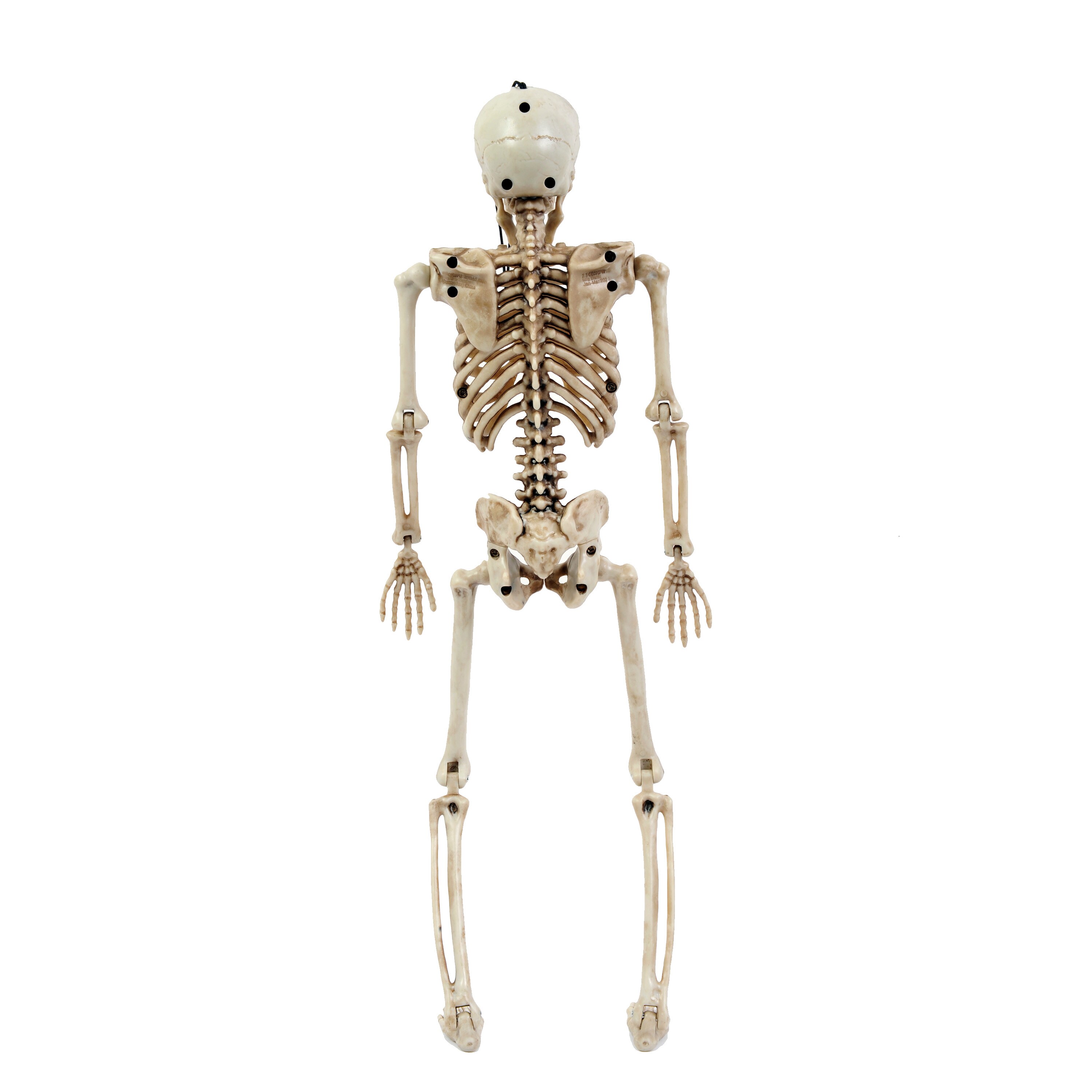 Haunted Living 91481LW Table-Halloween-Decor - View #3