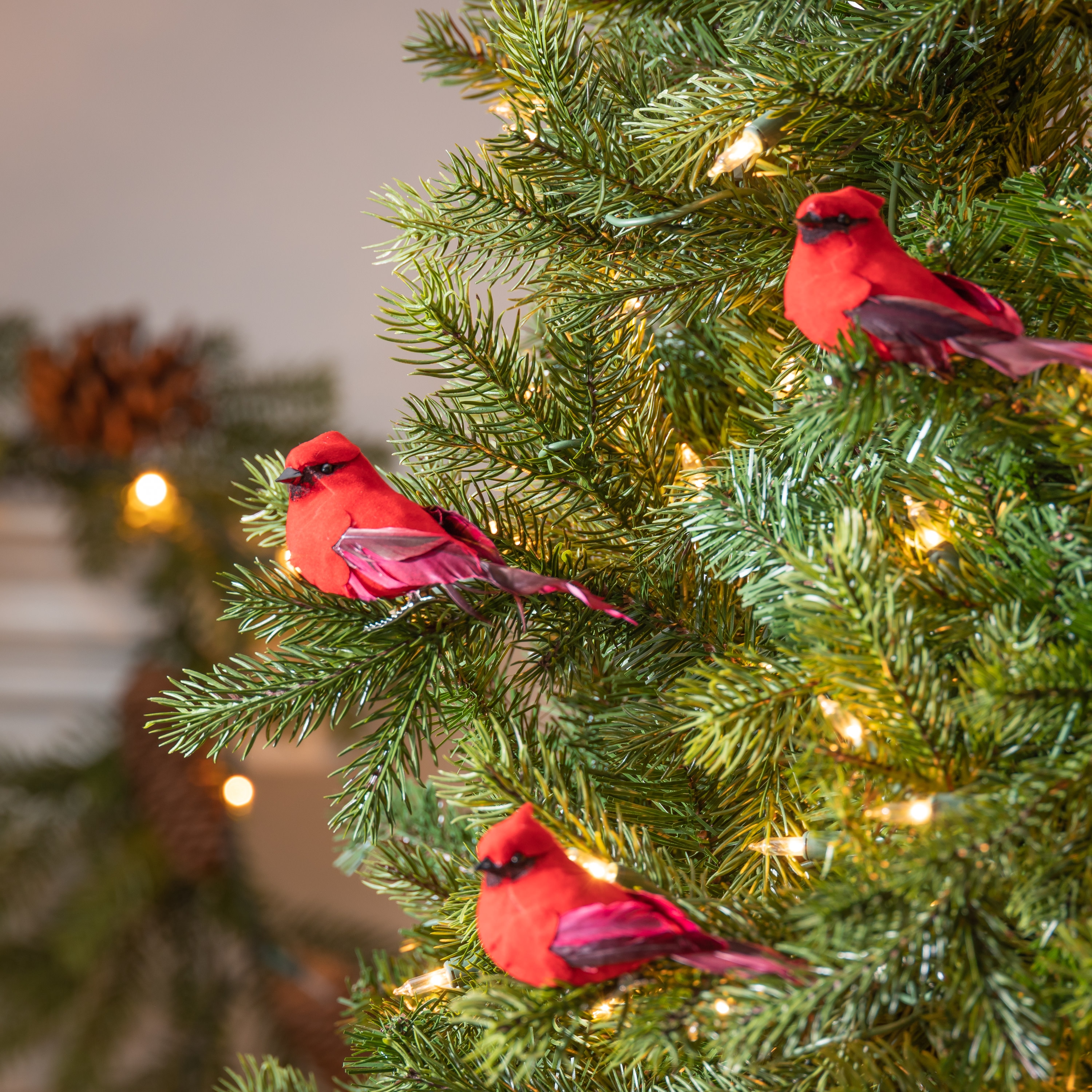 Gerson International 2589240EC 24 -Pack Red Birds Standard Indoor Clip