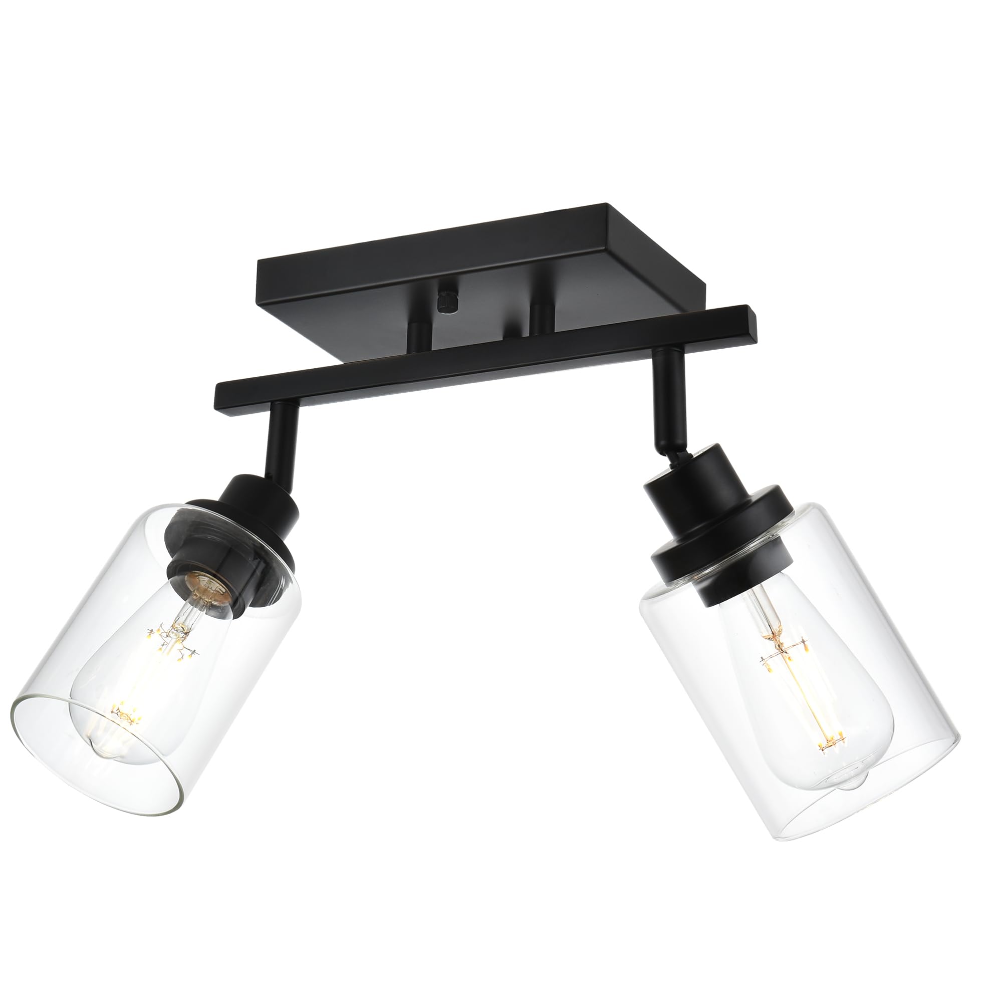 Vrbgify  2 Light Track Lighting Kit Black Adjustable Ceiling or Wall Mount Fixture with Clear Glass Shade for Kitchen Bathroom Hallway Shop E26
