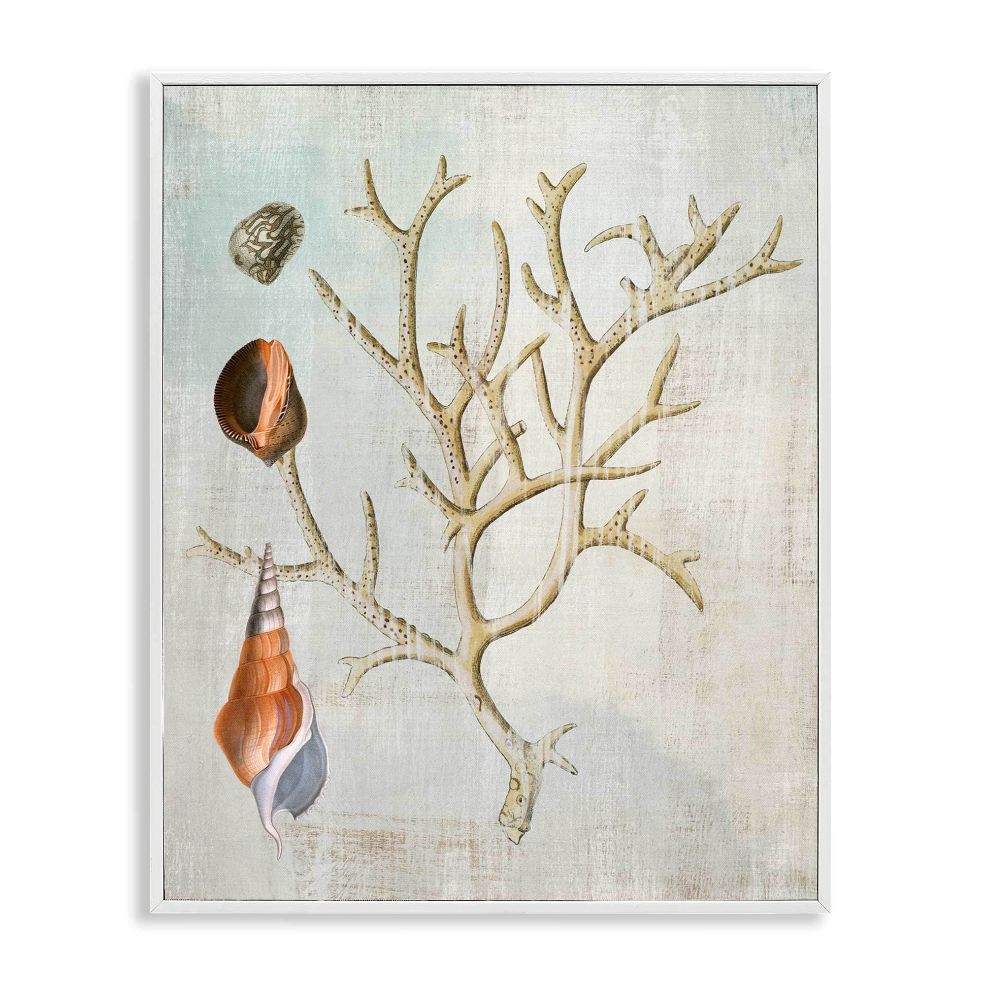Stupell Industries BT-992-WFR-24X30 Seashells and Coral Branch White Framed Giclee Art By Susan Arnot 24 x 30