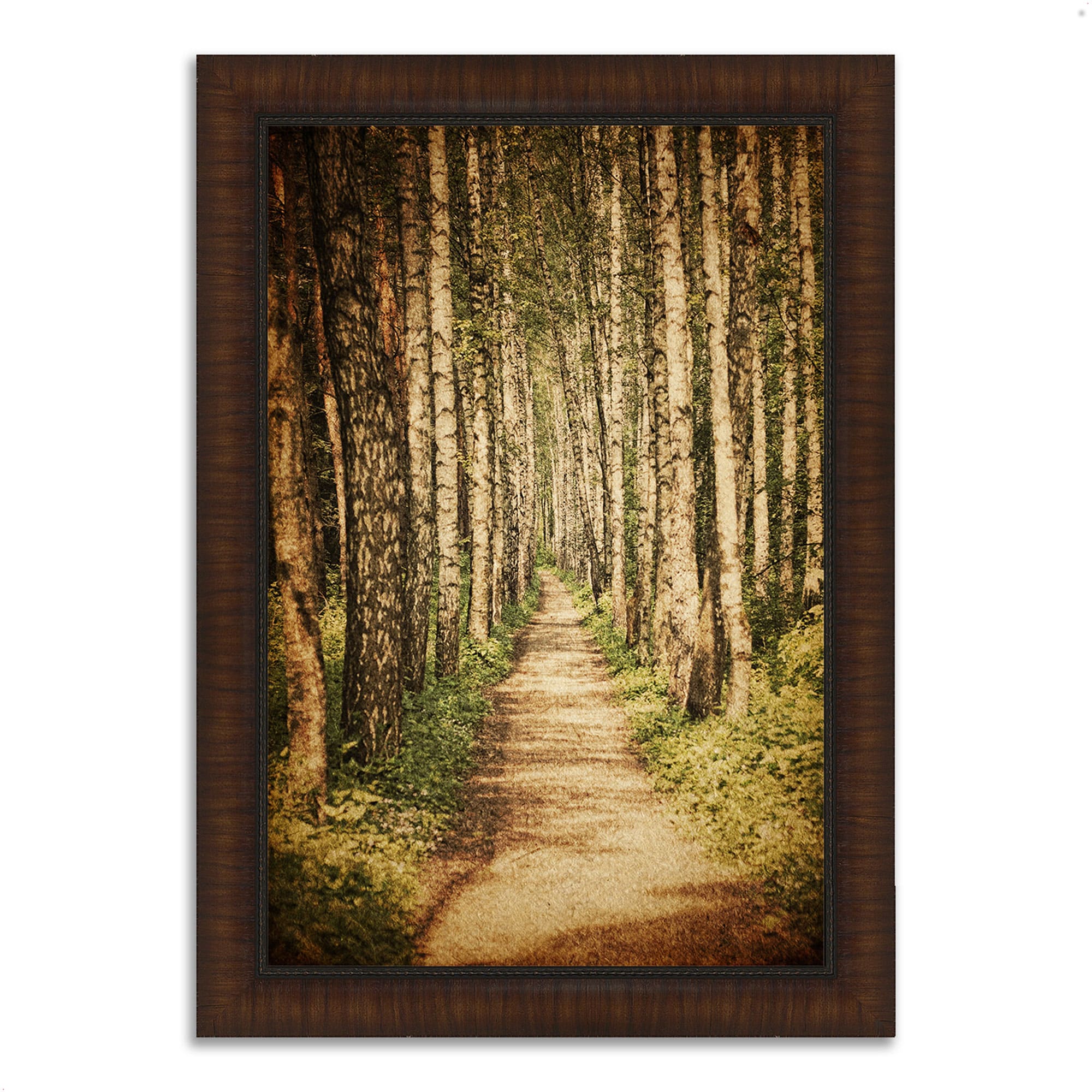 Tangletown Fine Art 14597-2030P120 The Old Aspen Trail Brown Wood Framed 36-in H x 26-in W Landscape Paper Print