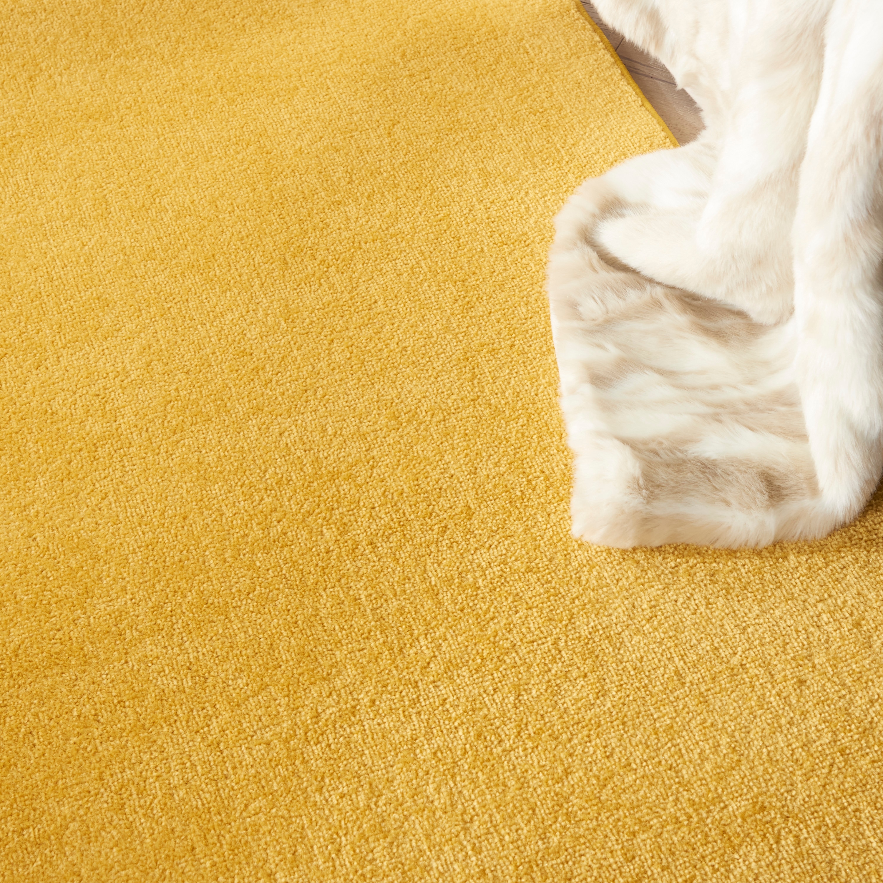 Nourison 099446825544 rugs - View #7