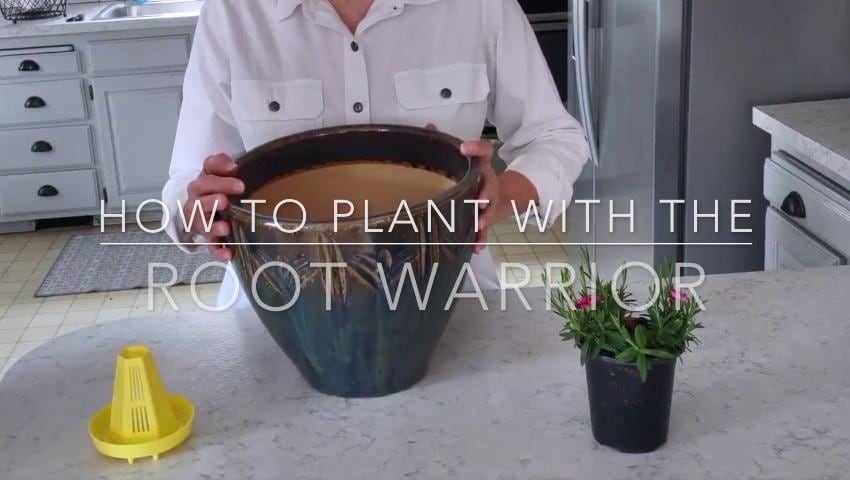 A thumbnail for the video