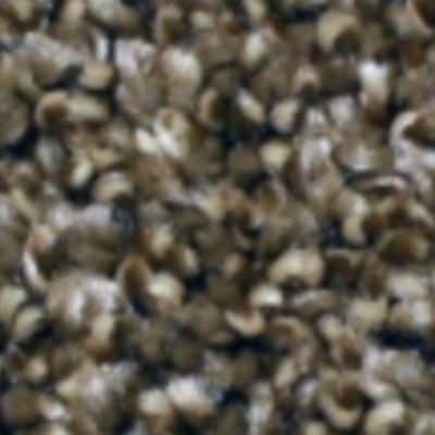 Marl Weave - Taupe Marl - Bloomsburg Carpet