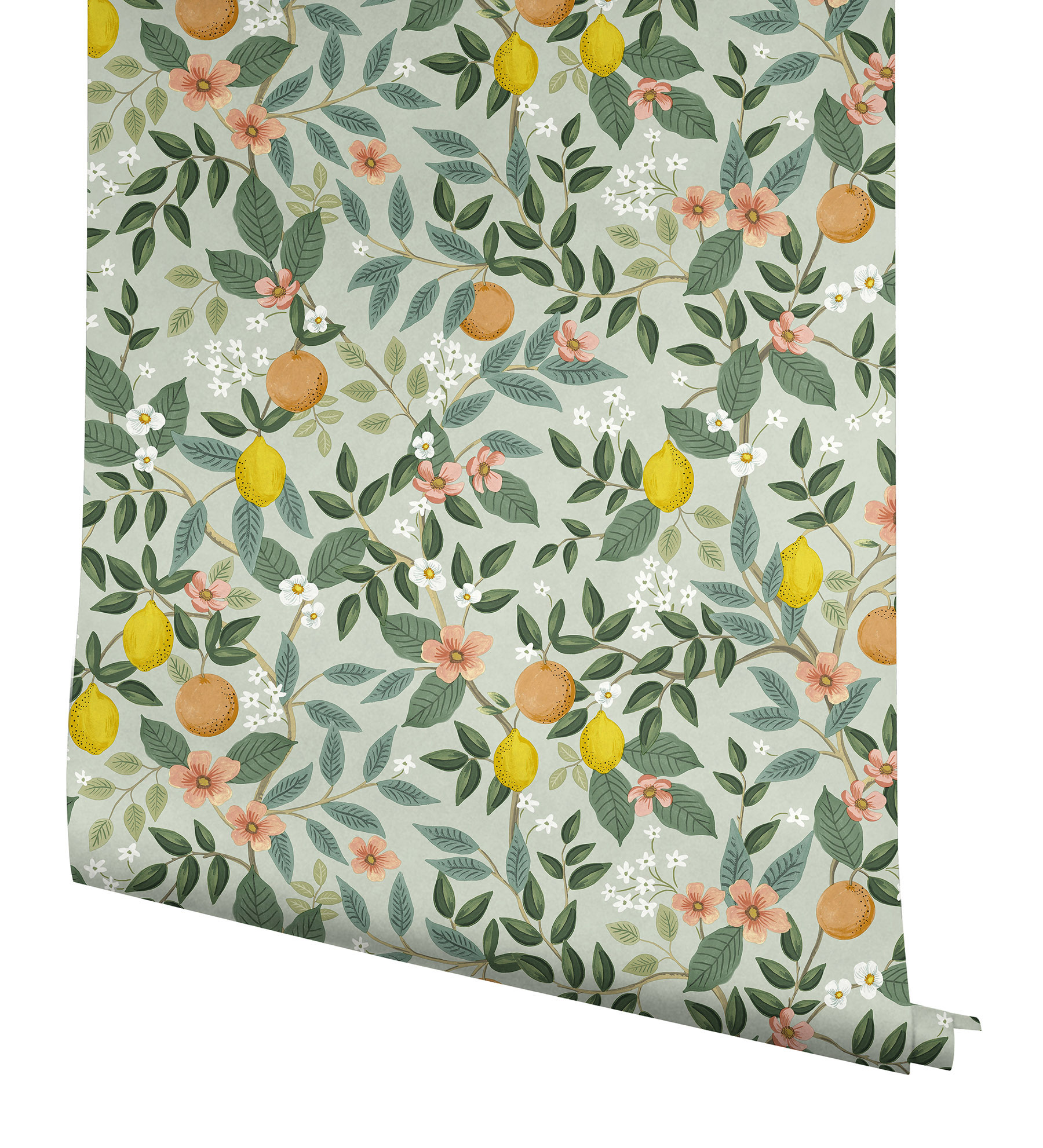 Rifle Paper PSW1480RL 45-Sq. Feet Green Non-woven Ivy/Vines Self-adhesive Peel and Stick Wallpaper