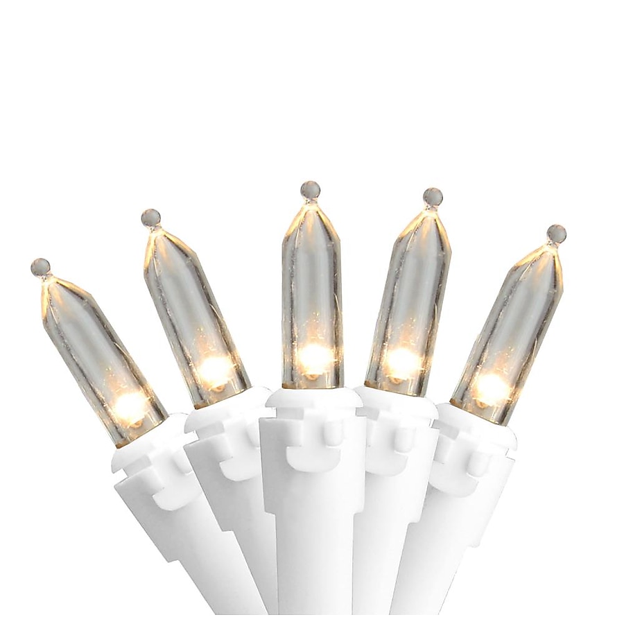 Northlight 195-ft 50-Light Clear Glass-Shade Plug-In Bulbs LED String Lights Northlight 195-ft 50-Light Clear Glass-Shade Plug-In Bulbs LED String Lights