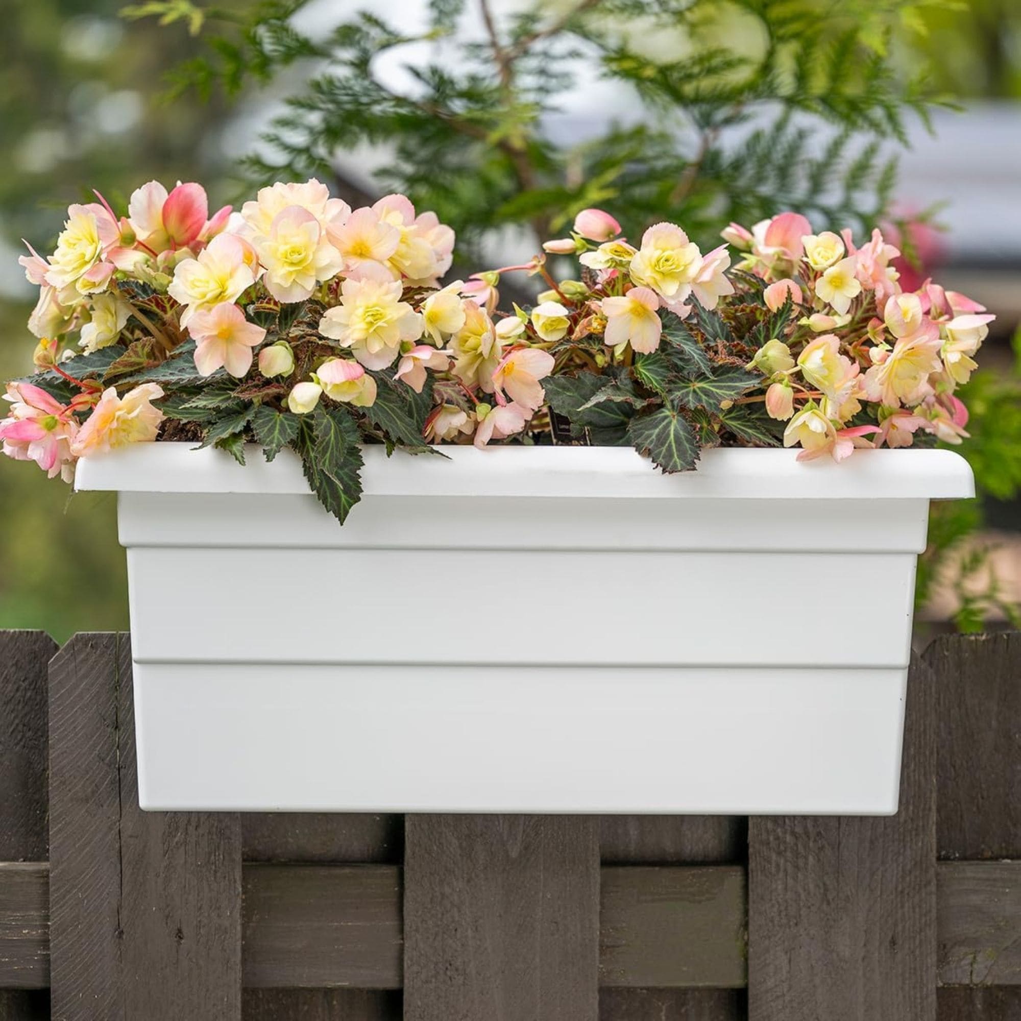 Novelty Manufacturing 026978262424 Planter-Window-Box - View #5