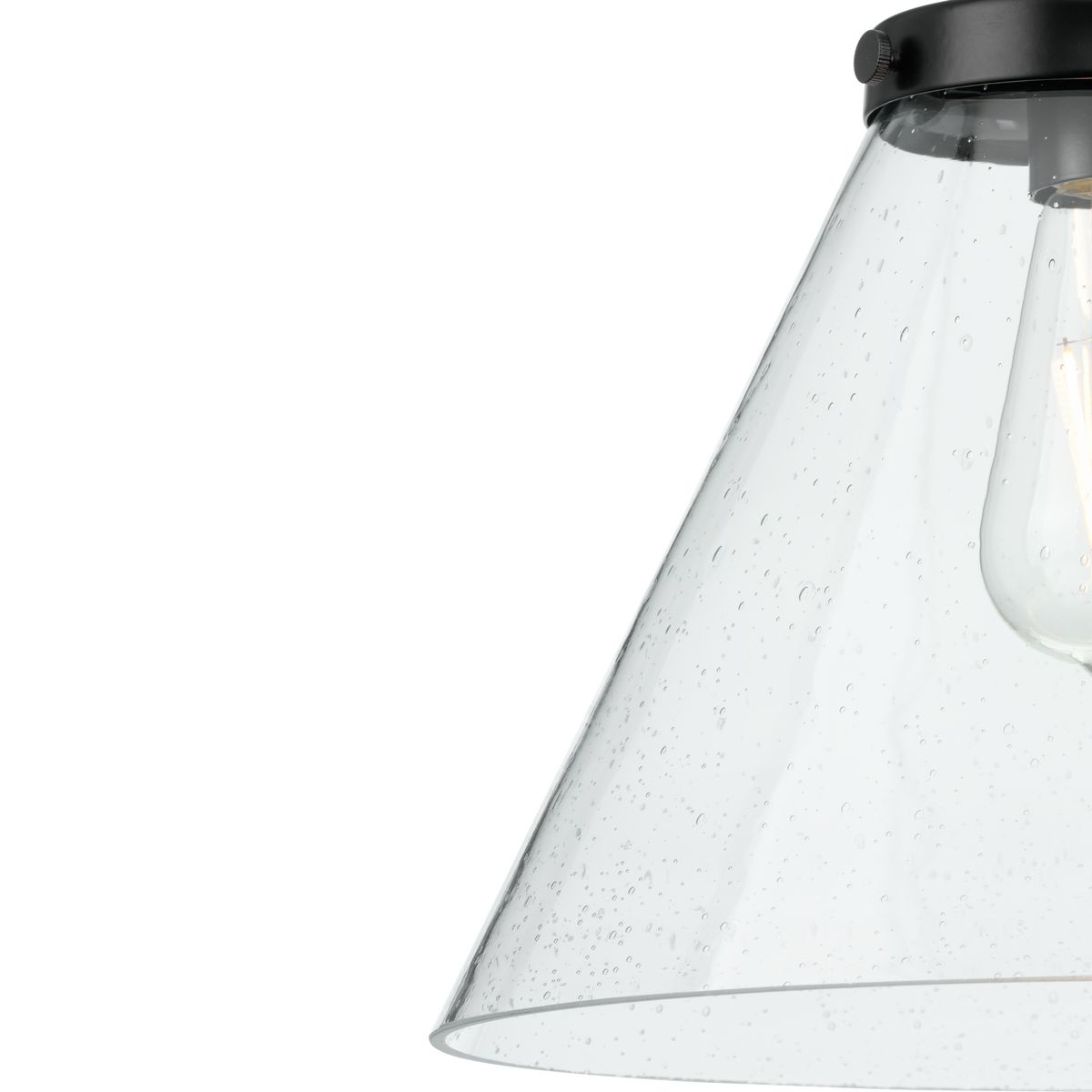 Progress Lighting P500324-031 Pendant-Lights - View #12