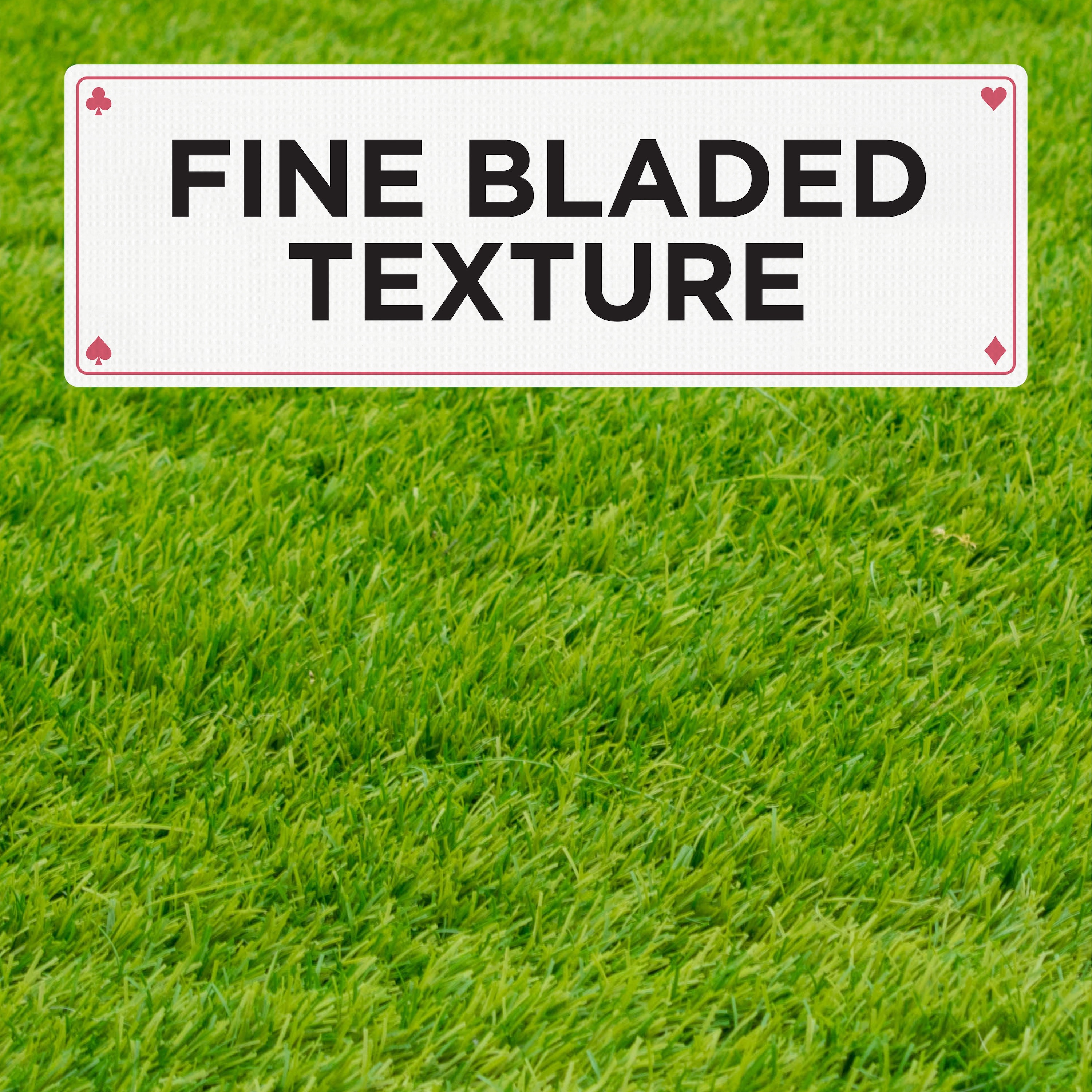 Pennington 100082690 Grass-Seed - View #3