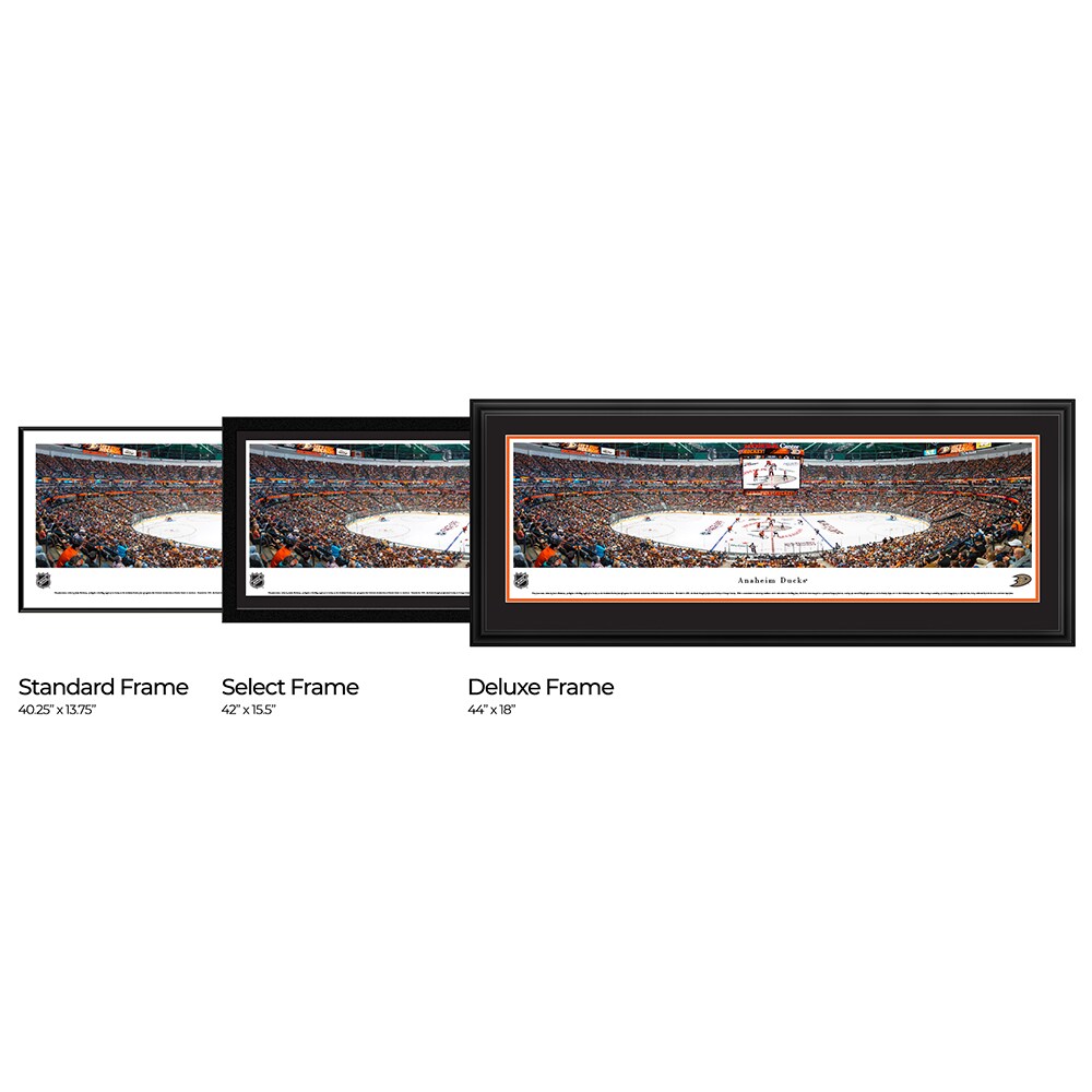 Blakeway Panoramas NHLDUCK2D Wall-Art - View #3