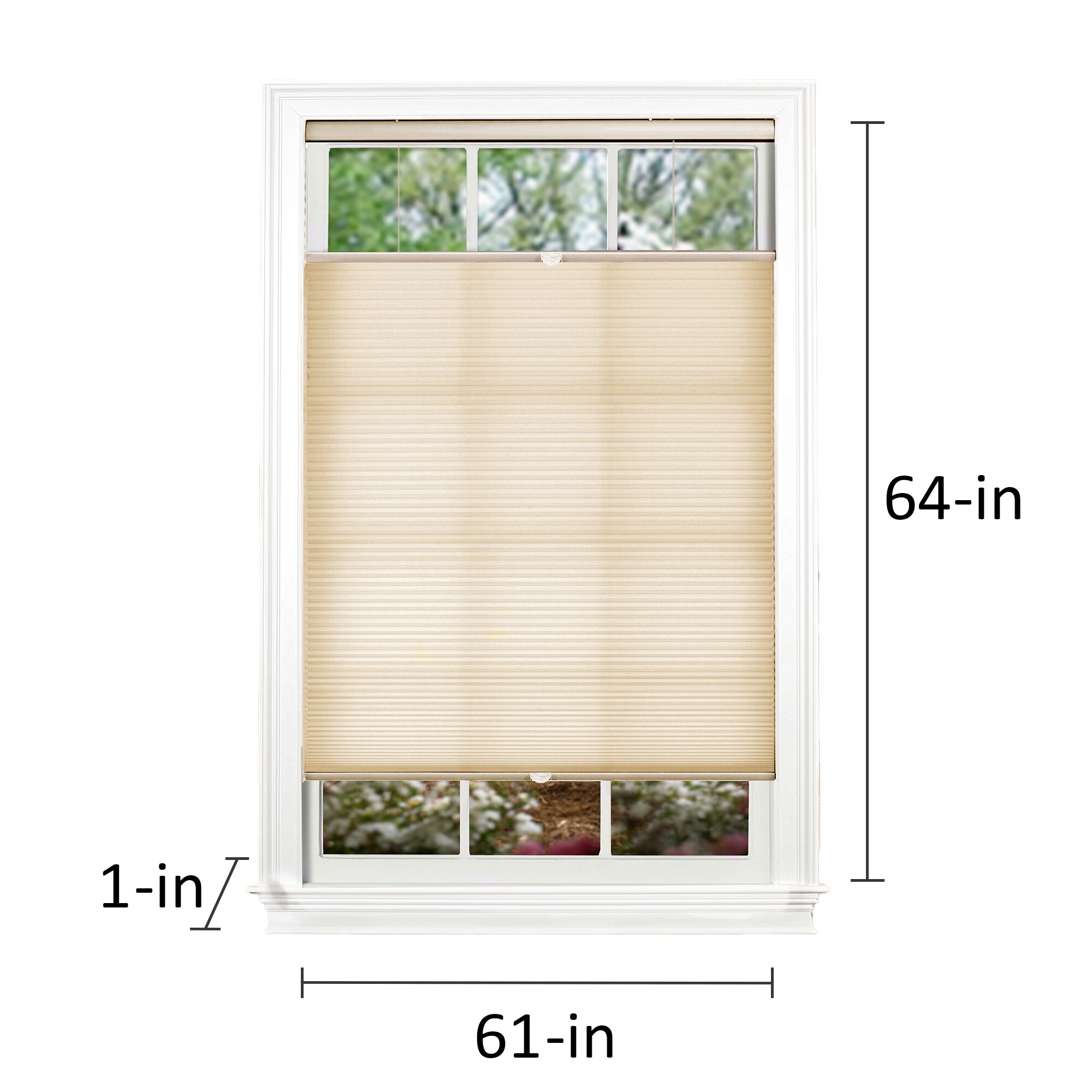 allen + roth 61-in x 64-in Alabaster Light Filtering Cordless Top-down ...