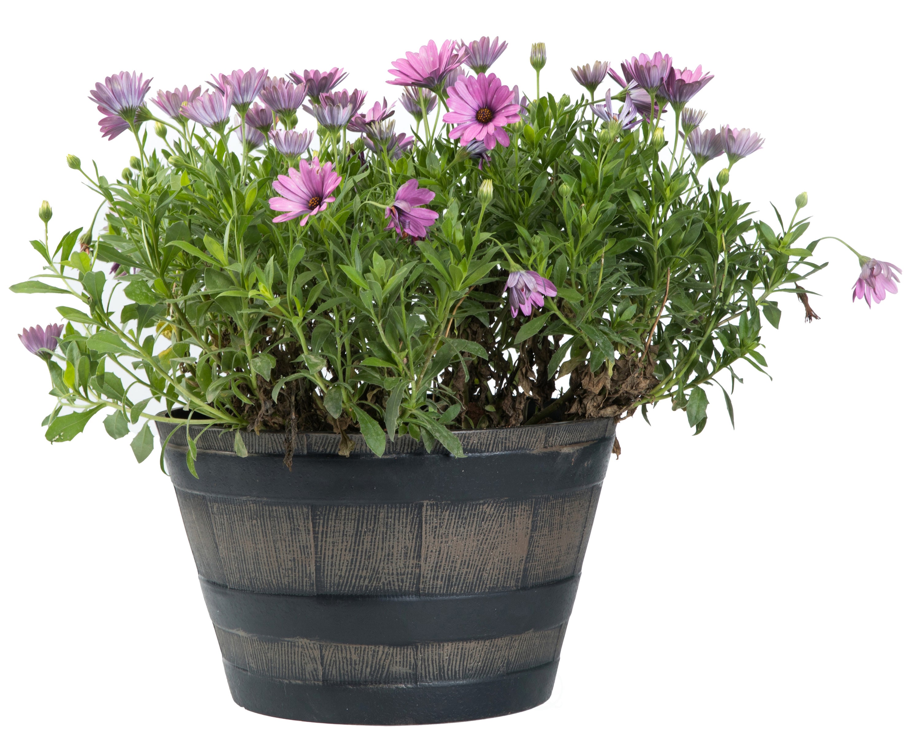 Gardenised Rustic Wood- Look Plastic Half Barrel Flower Pot Bucket Planter, Pack of 4