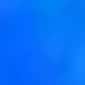Blue/White