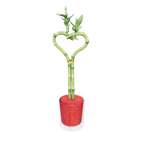 Three-dimensional representation of the product