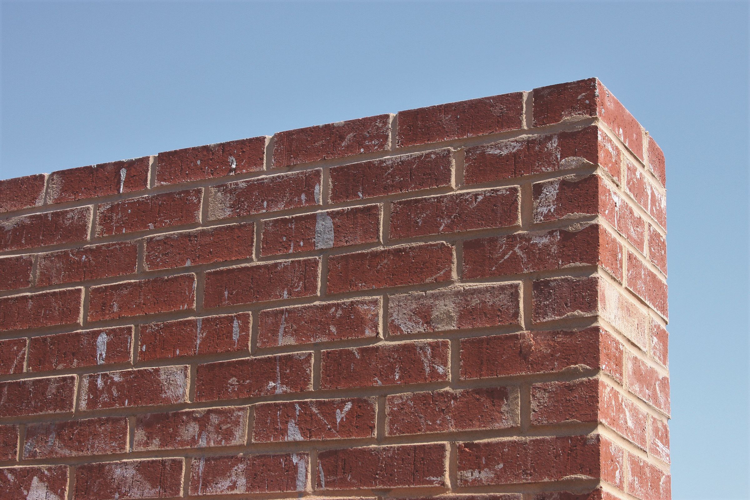 8-in x 4-in Red Clay Cored Brick