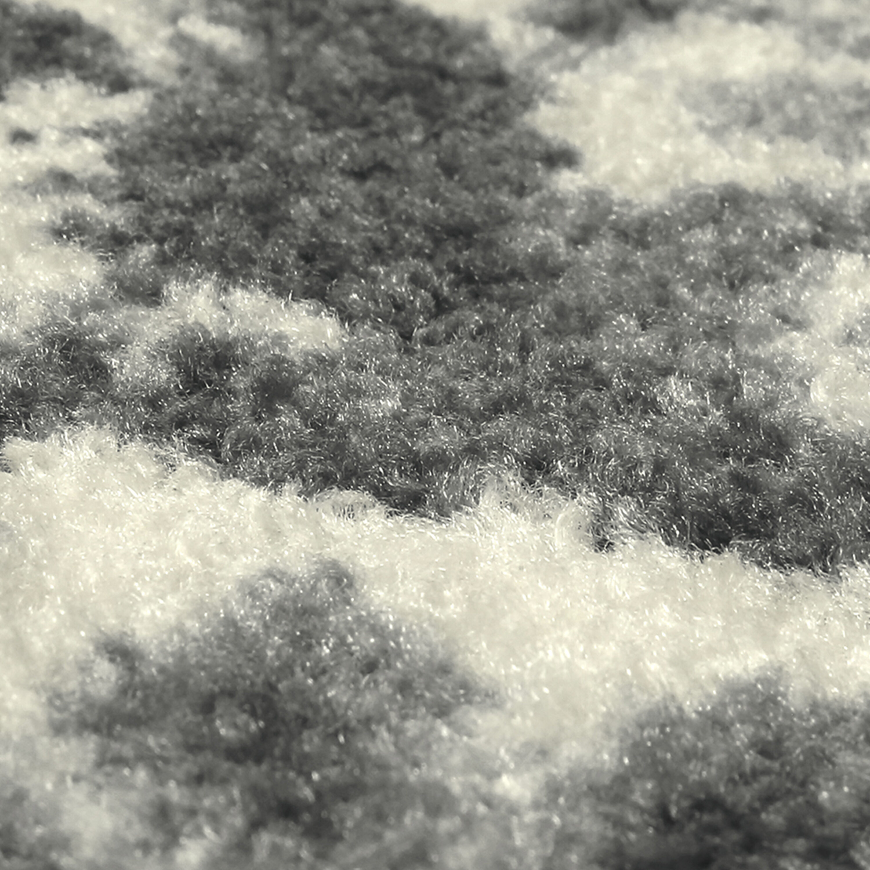 Maples Rugs B5956302 rugs - View #5