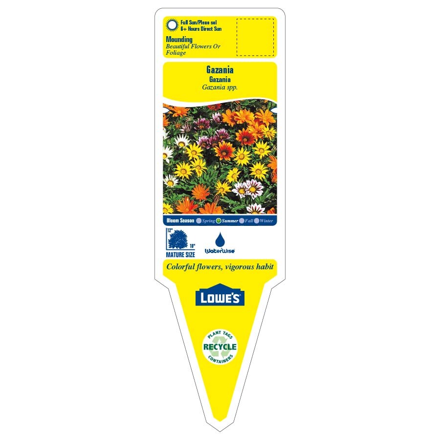 Lowe's NURSERY perennials - View #2