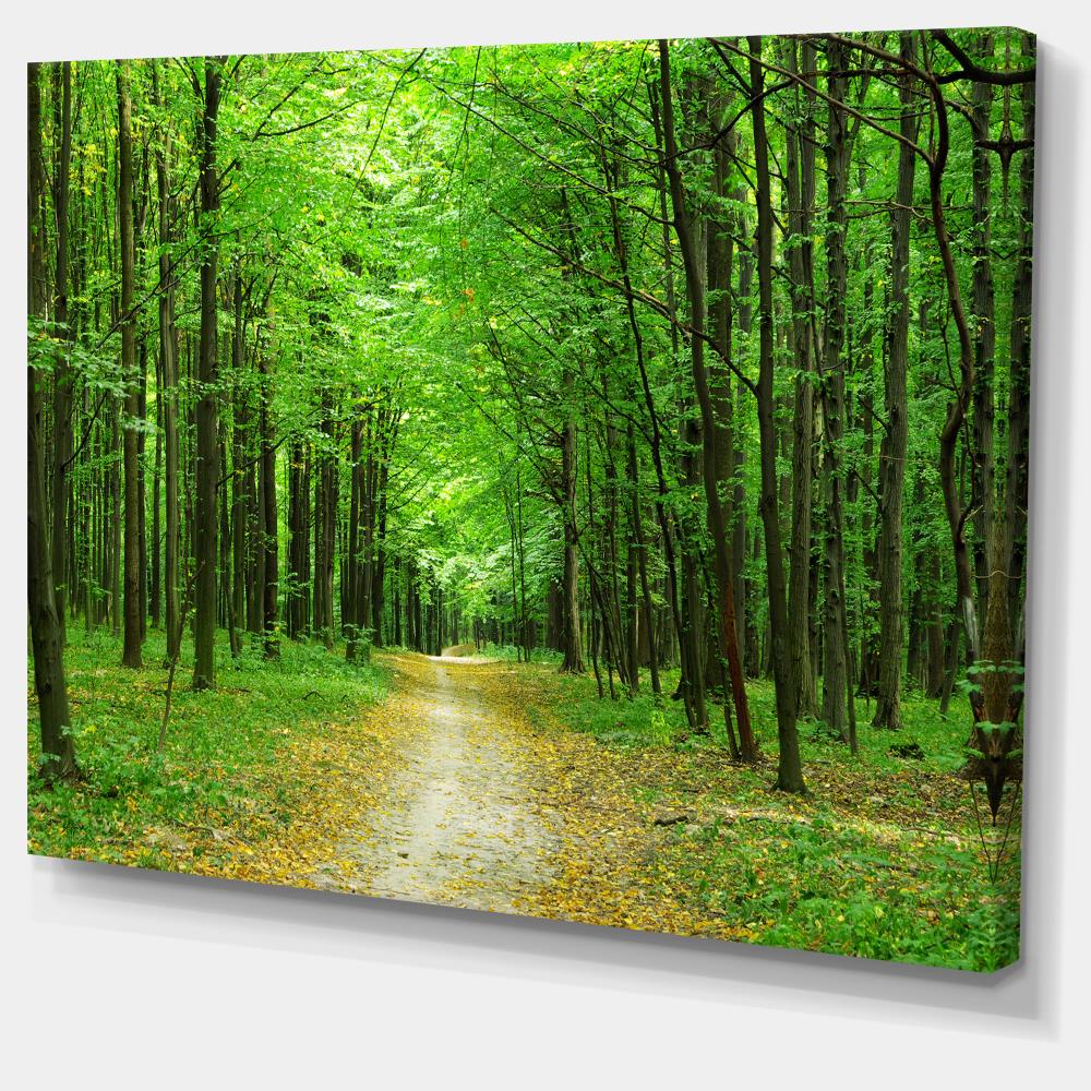 Designart Designart 12-in H x 20-in W Landscape Print on Canvas in the ...