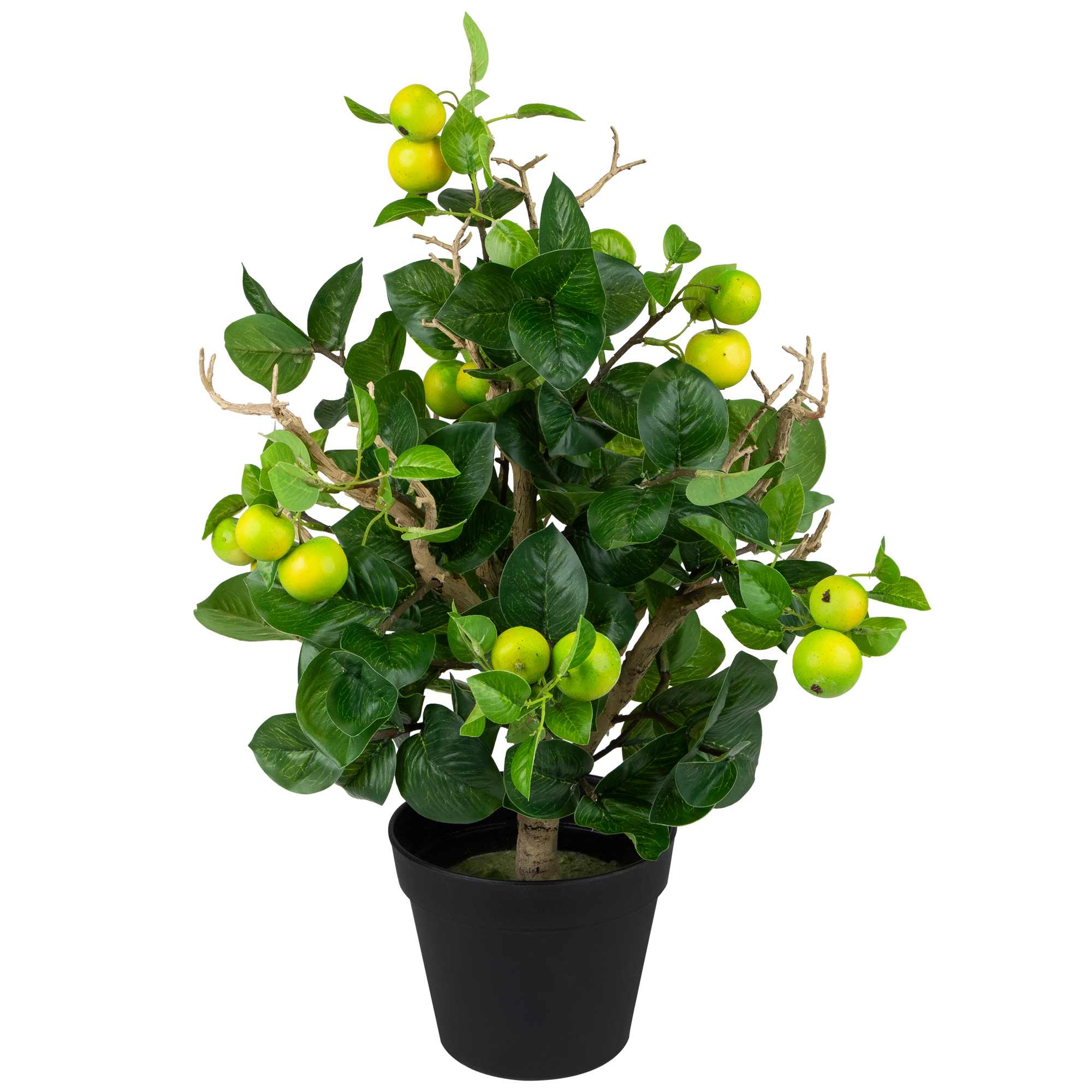 Northlight NORTHLIGHT-NL03344 Artificial-Plants-Trees - View #5