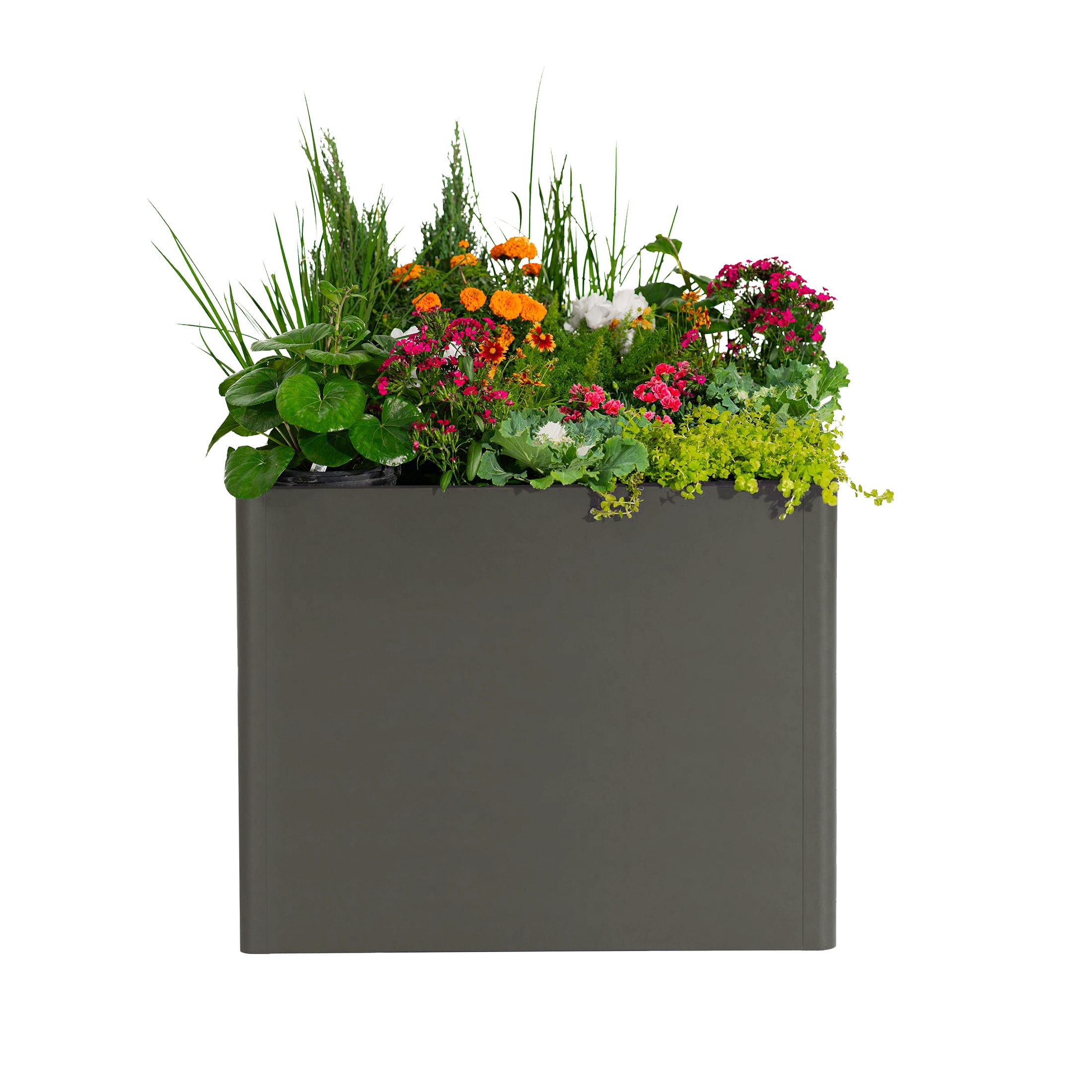 Vego Garden VBMT4242CH Raised-Garden-Beds - View #3