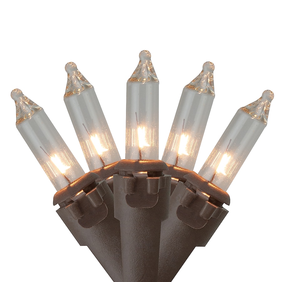 Northlight 120-ft 50-Light Clear Glass-Shade Plug-In Bulbs Incandescent String Lights Northlight 120-ft 50-Light Clear Glass-Shade Plug-In Bulbs Incandescent String Lights