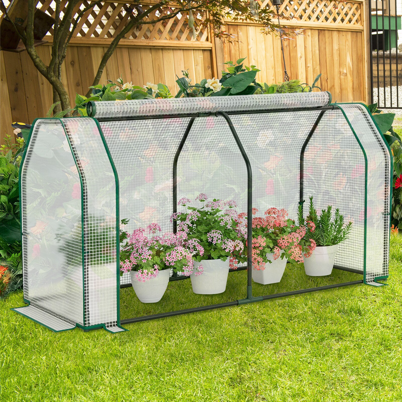 WELLFOR TBJ3962 greenhouses - View #3