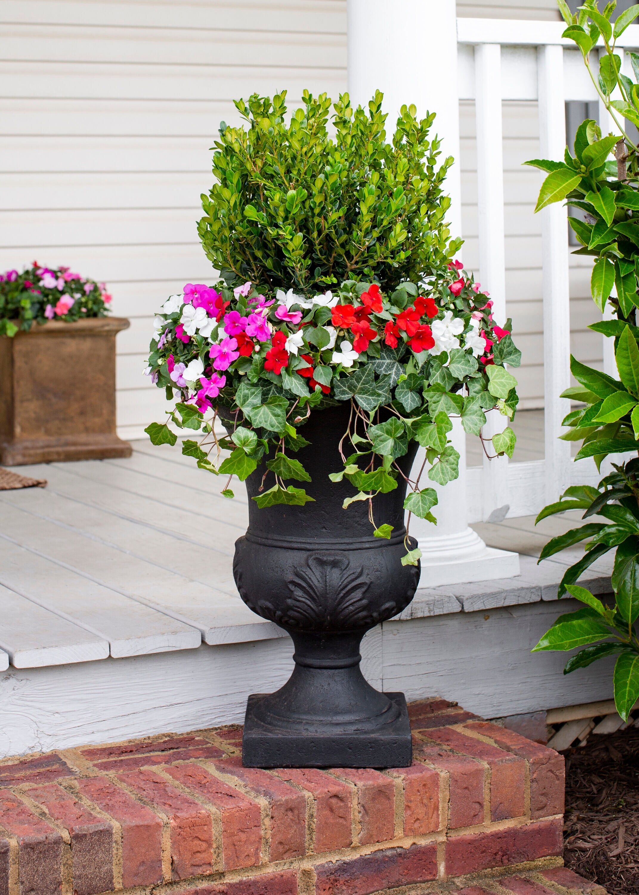 Lowe's NURSERY annuals - View #3