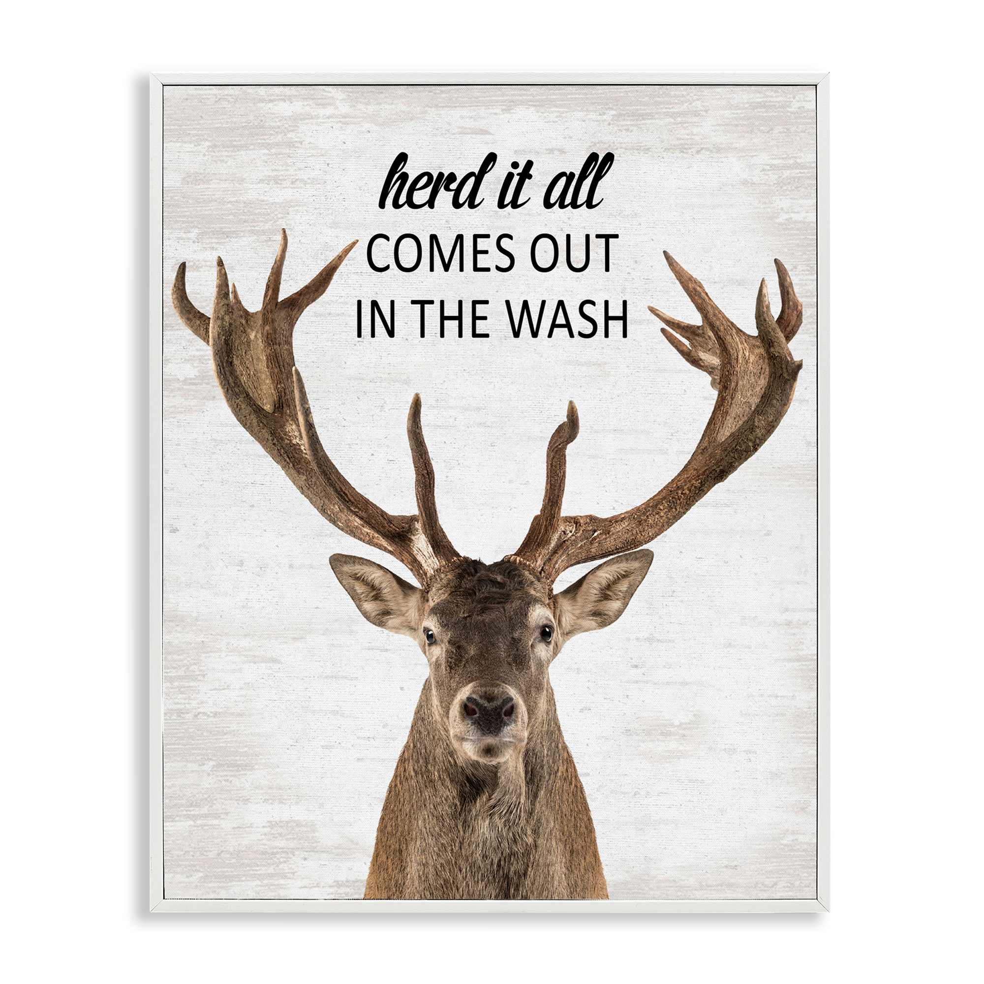 Stupell Industries BS-899-WFR-11X14 Herd It Comes Out In Wash White Framed Giclee Art By Lettered and Lined 11 x 14