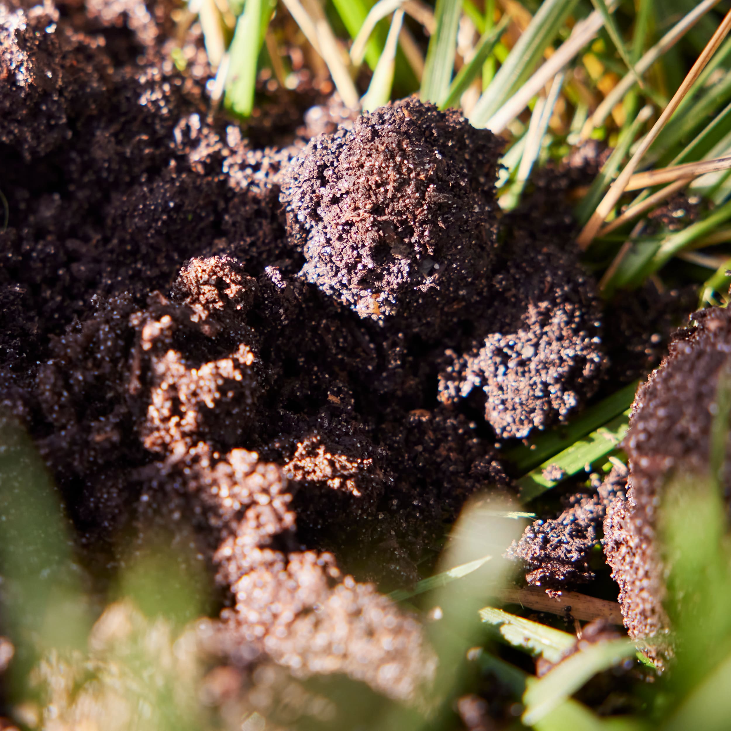 Hapi-Gro CM40H Soil-Conditioner - View #3
