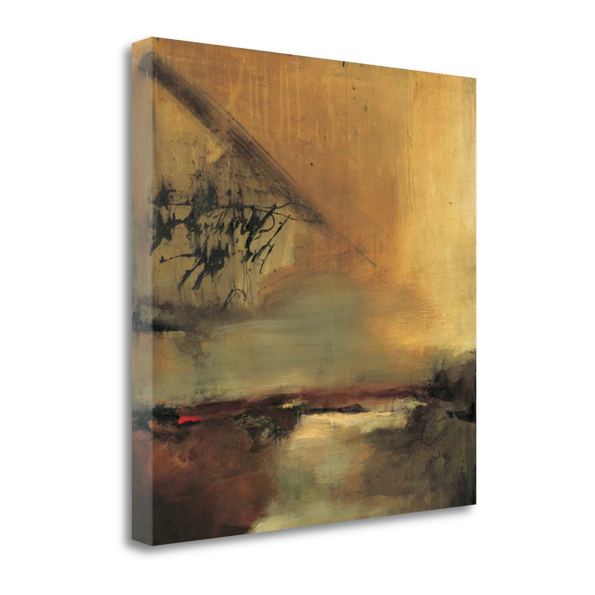 Tangletown Fine Art CAJDP307-2020C Remember Denis Jully 20-in H x 20-in W Abstract Print on Canvas