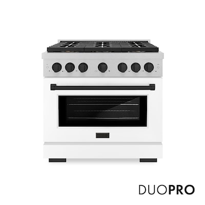 ZLINE KITCHEN & BATH Paramount 36-in Deep recessed 6 burners Convection Oven Single Oven Dual Fuel Range ( Satin Stainless Steel w/White Matte Door )