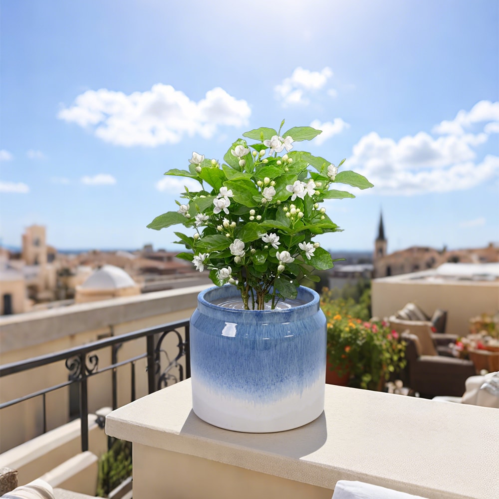 Kahomvis MDJ-QPPOT-06 Planter-Window-Box - View #10