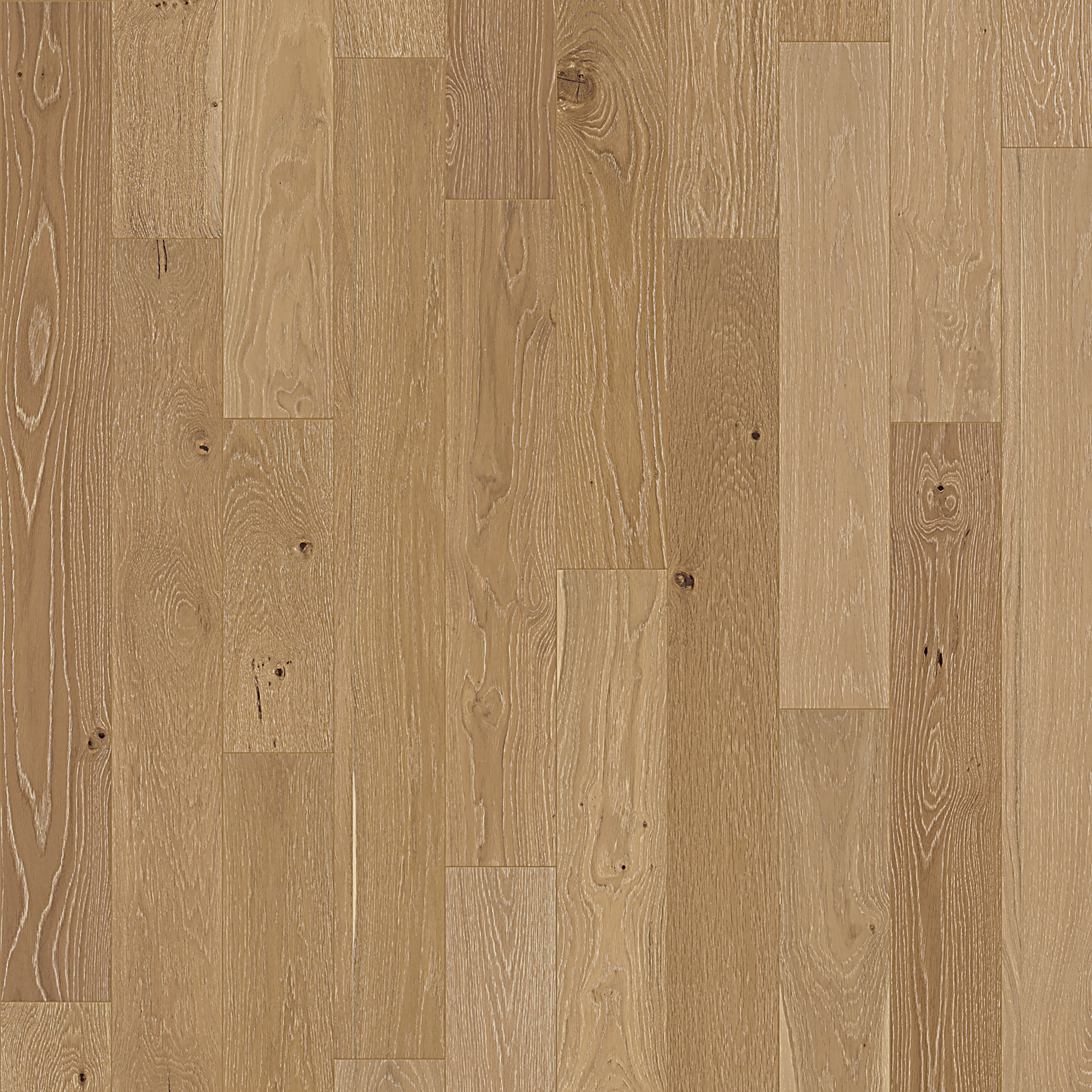 Element Flooring (Sample) Stoneboro Wateree European white oak 3/8-in T x Water Resistant Wirebrushed Engineered Hardwood Flooring