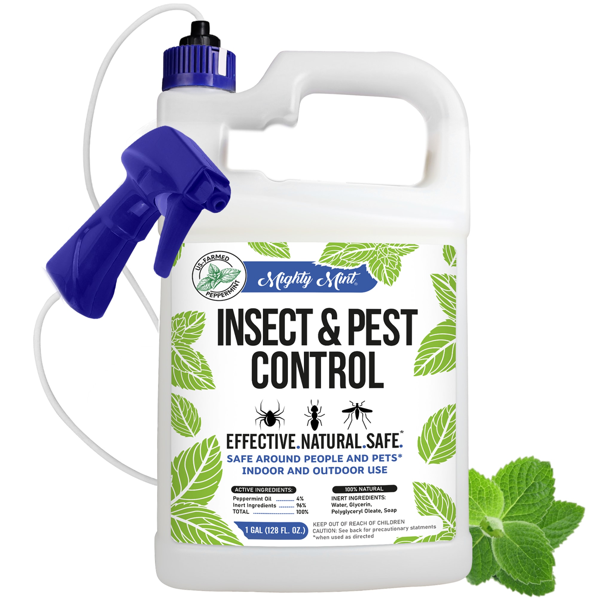  Dr. Killigan's Six Feet Under Non Toxic Insect Killer Spray, Indoor Natural Pest Control, Flea, Tick, Pantry & Clothing Moths, Ant, &  Cockroach