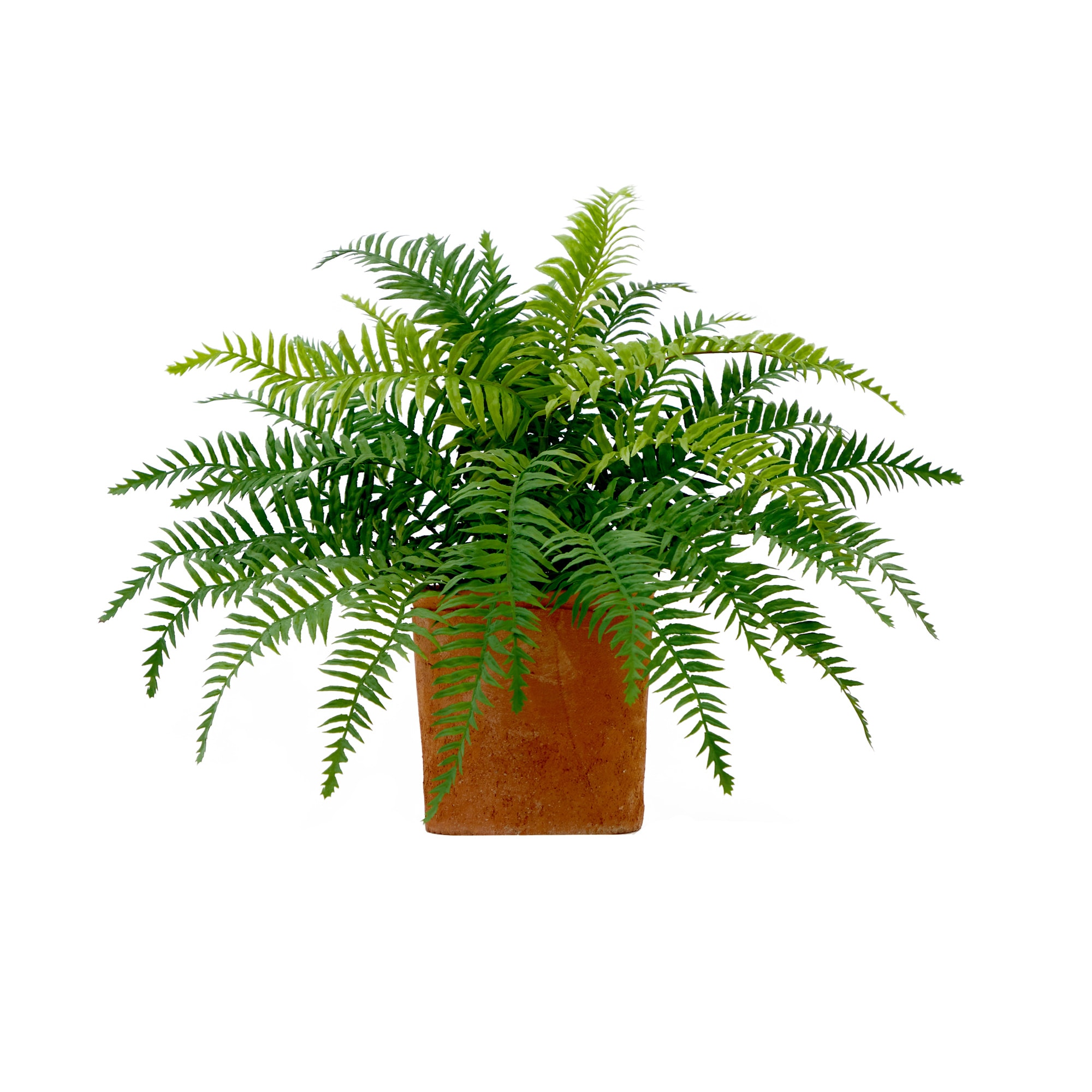 Faux Boston Fern Hanging Natural and Lifelike Artificial Arrangement and  Imitation Greenery, 1 unit - Kroger