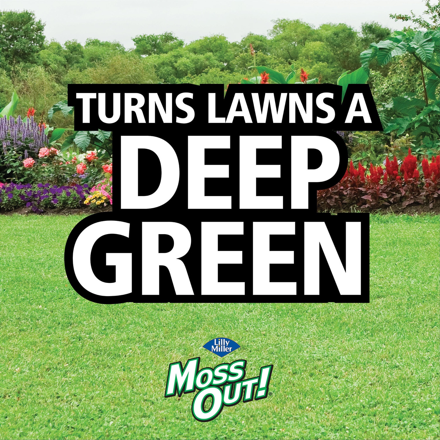Moss Out! 7062400106 Moss-Algae-Fungus-Control - View #5