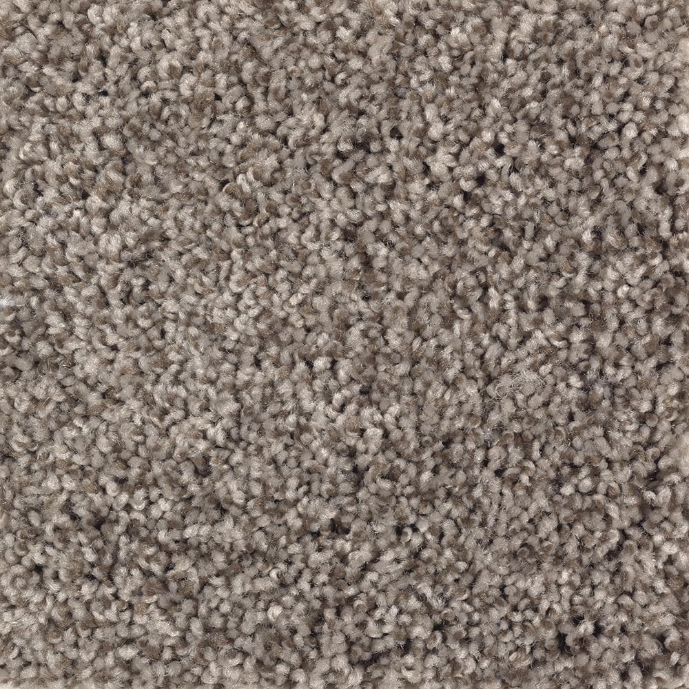 STAINMASTER CCV07-L008-0808 (Sample) Essentials Hope-mills Place Chocolate Swirl Textured Carpet