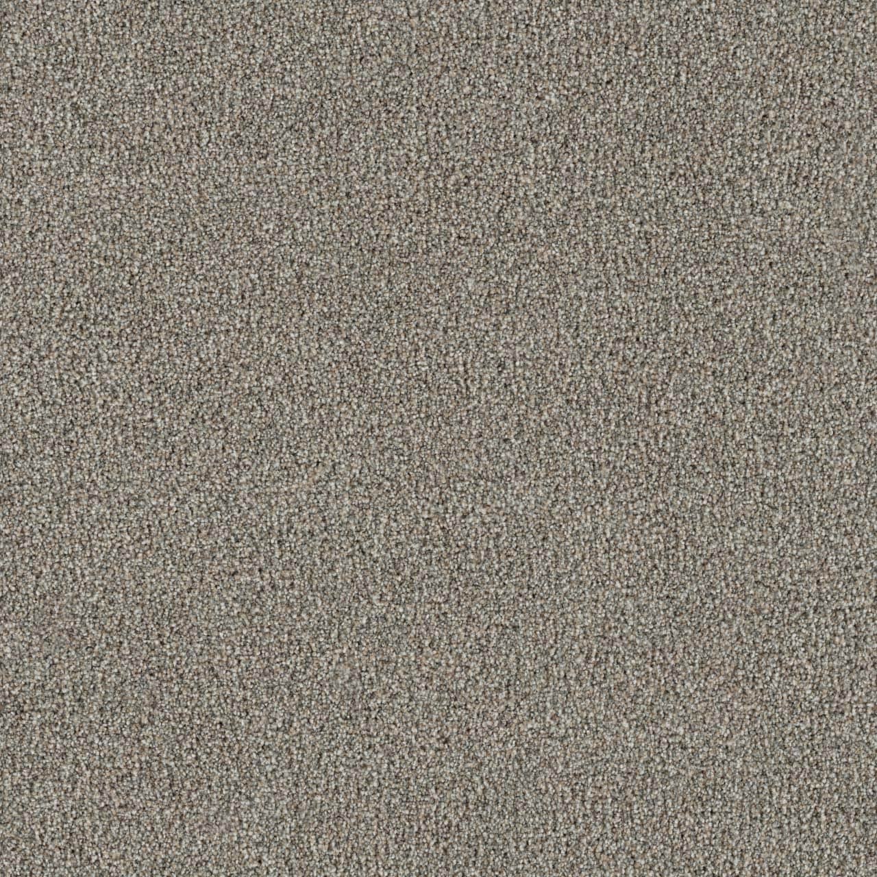 STAINMASTER (Sample) 8-in x 8-in Daybreak III Promise Gray 75-oz sq yard Solution-dyed polyester Textured Indoor Carpet #L5028-4288-0808